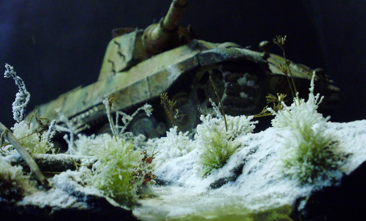 Germans, Tiger Ii, World War 2