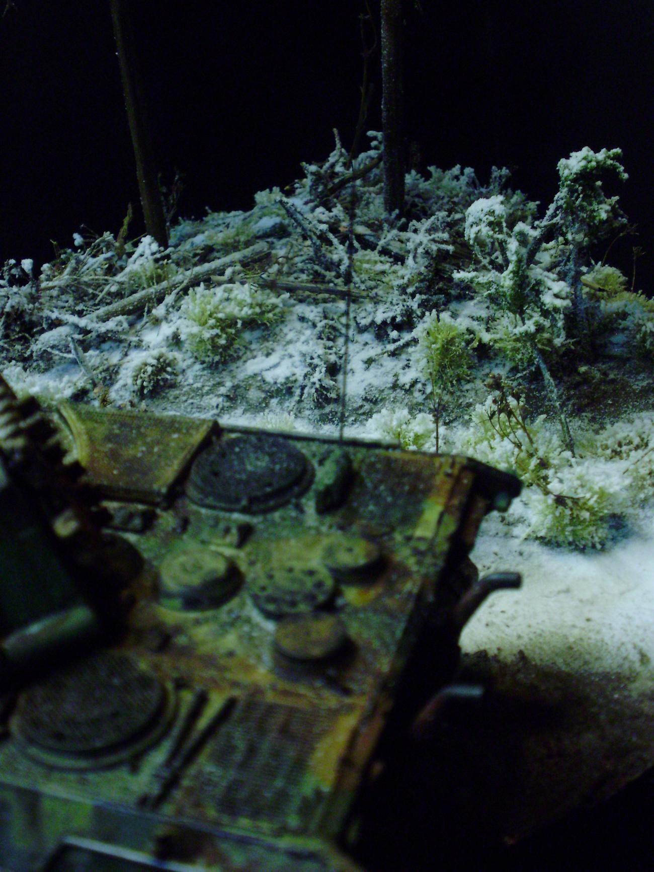 Germans, Snow, Tiger Ii, World War 2