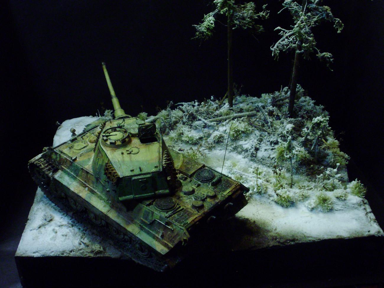 Germans, Snow, Tiger Ii, World War 2