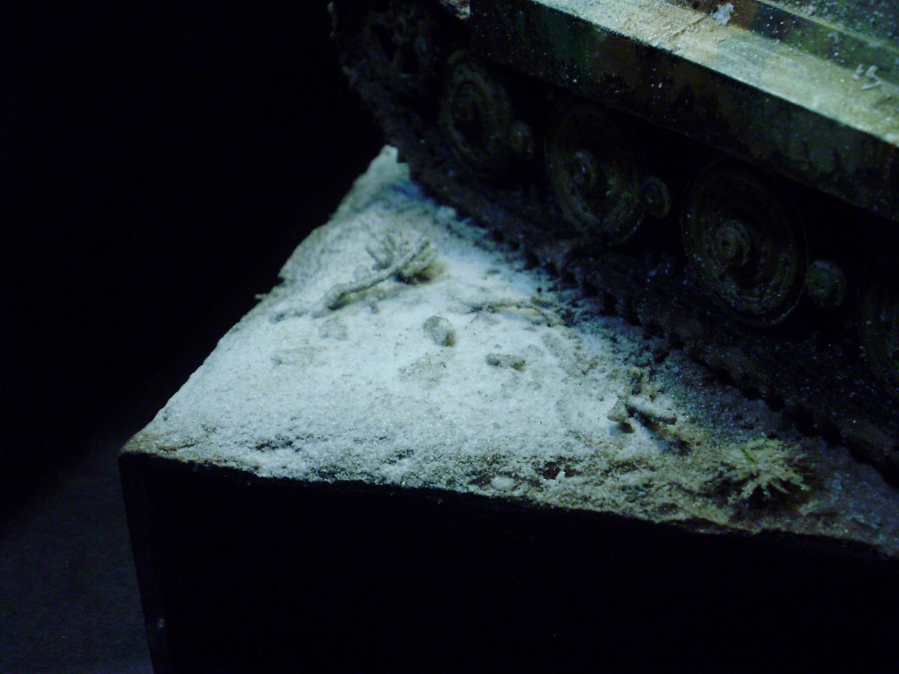 Germans, Snow, Tiger Ii, World War 2