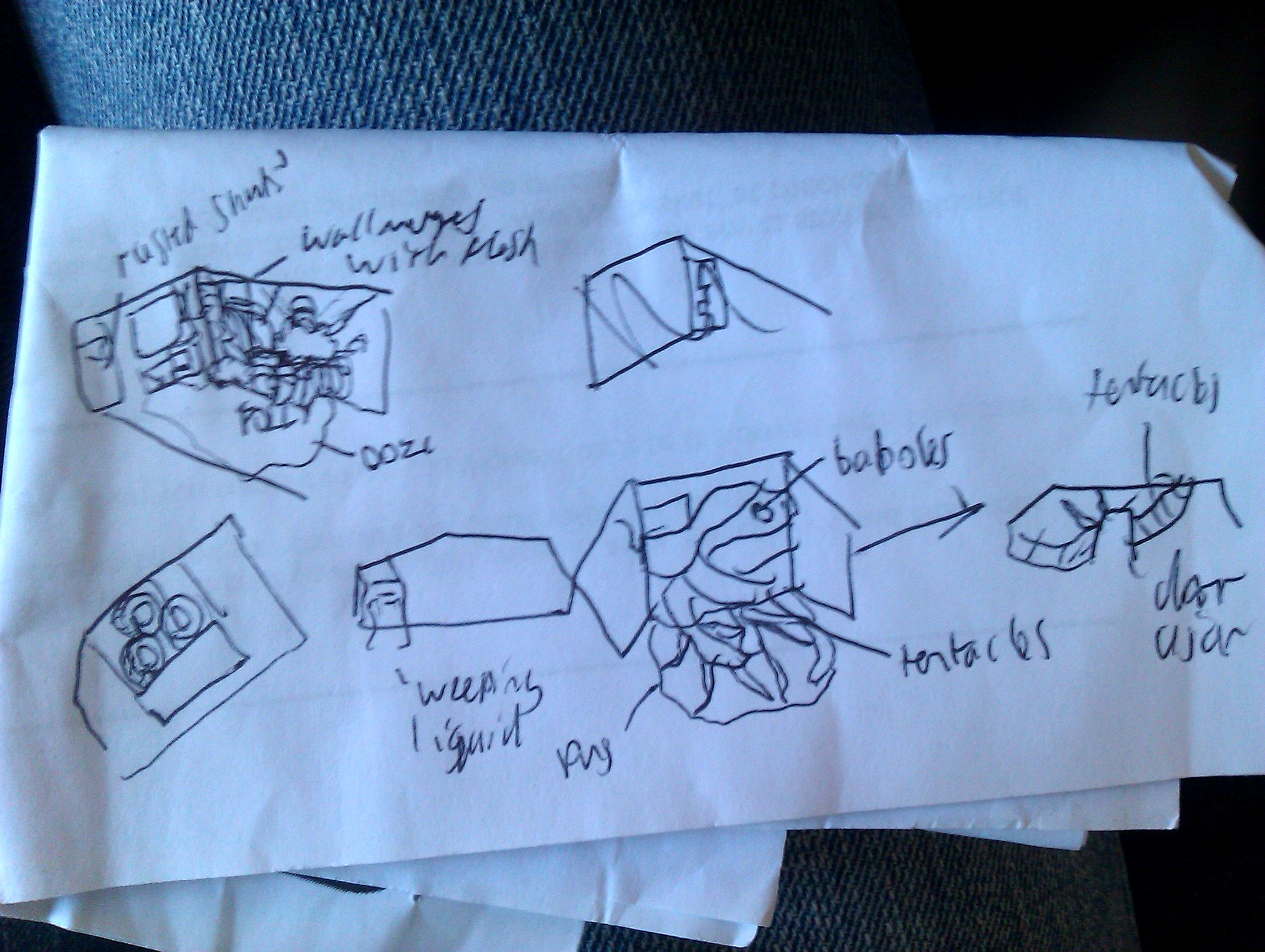 Rhino plan!
