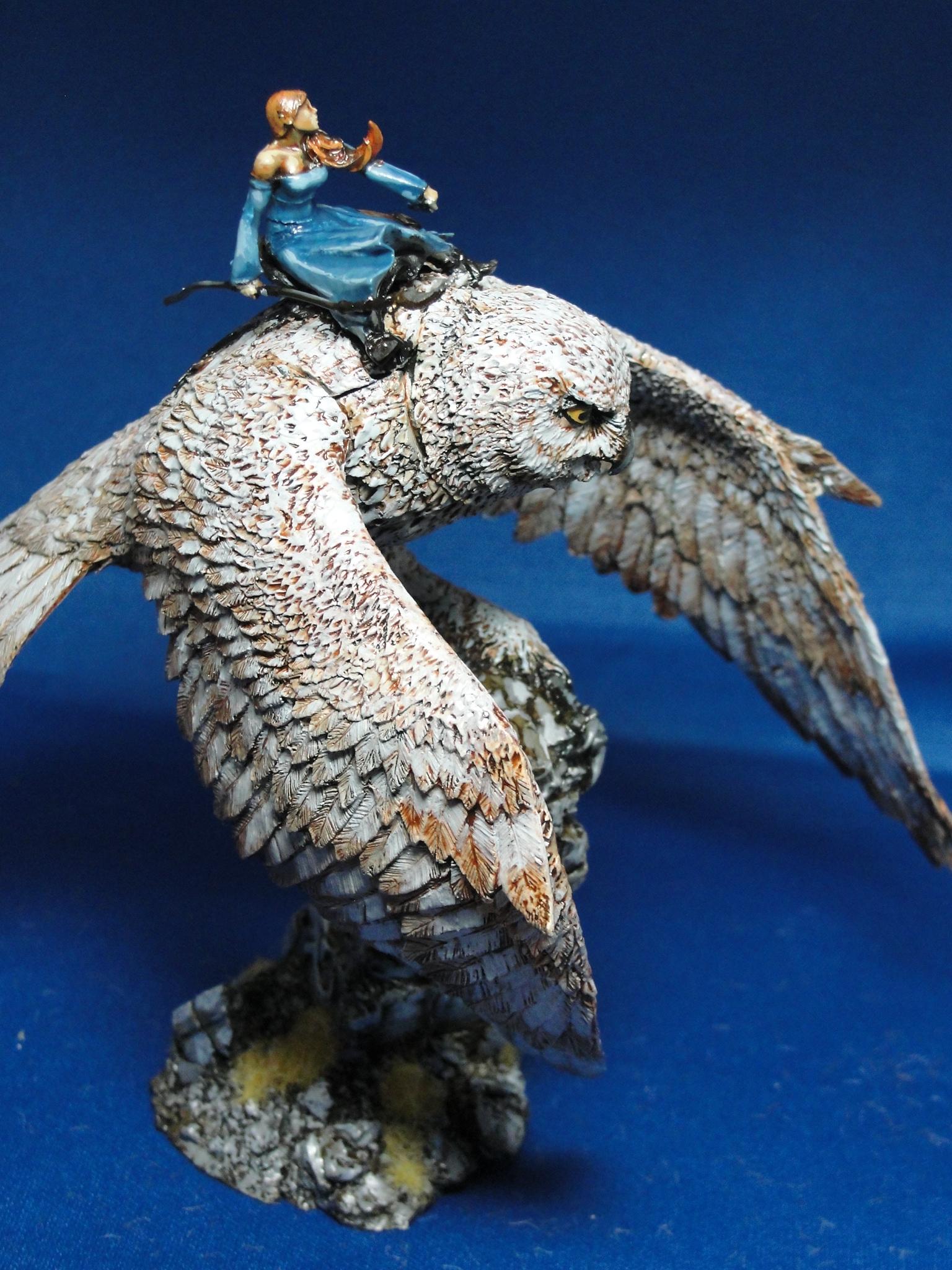 Owl, Warhammer Fantasy