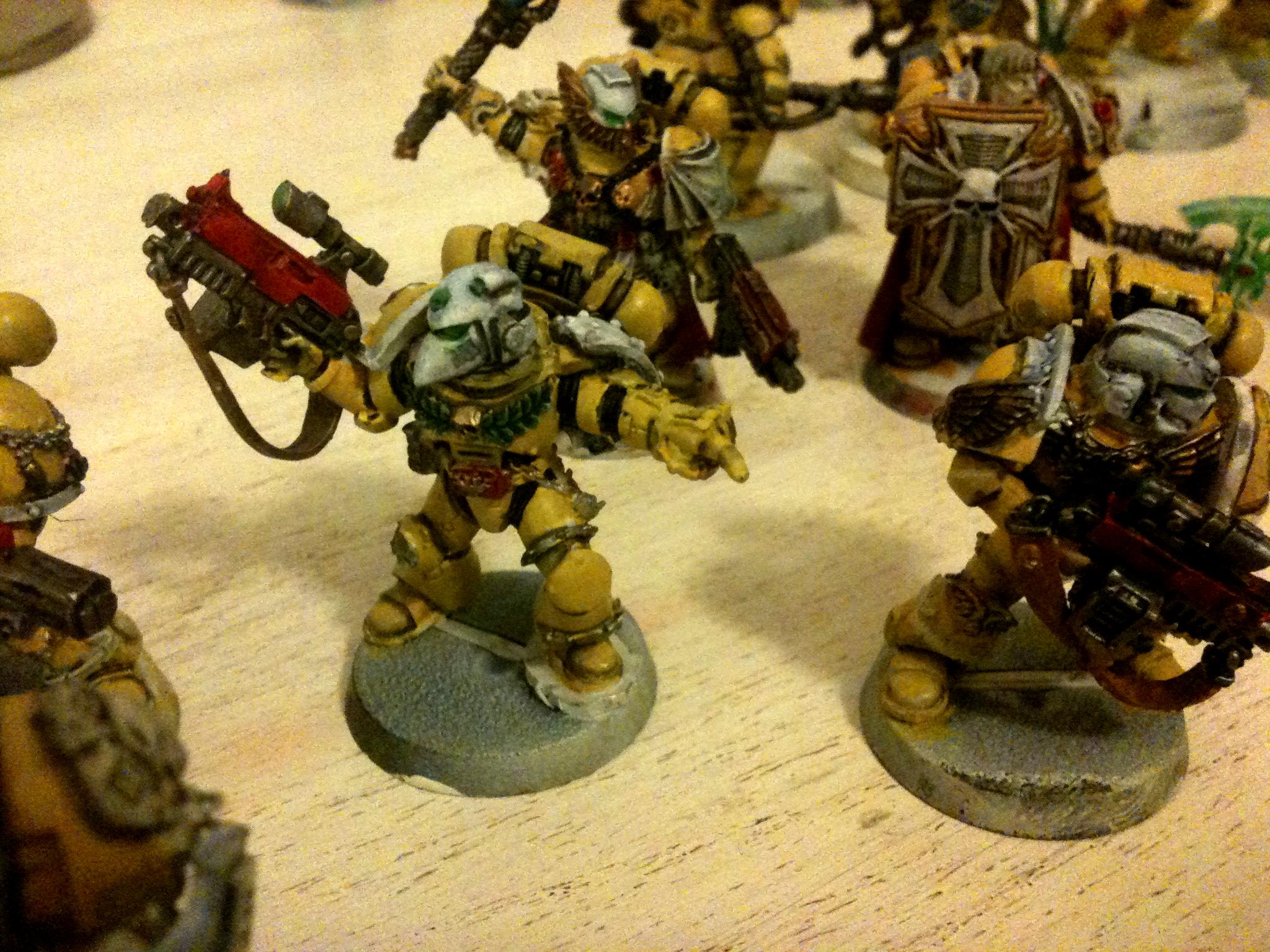 Imperial Fists, Space Marines, Sternguard