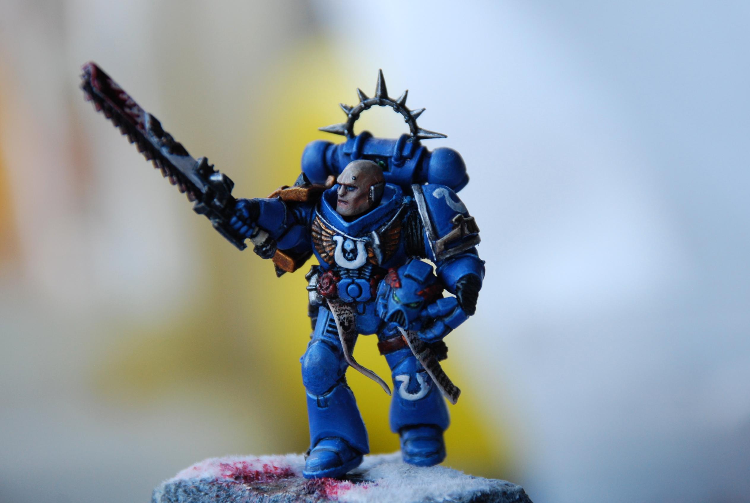 Front view painted model