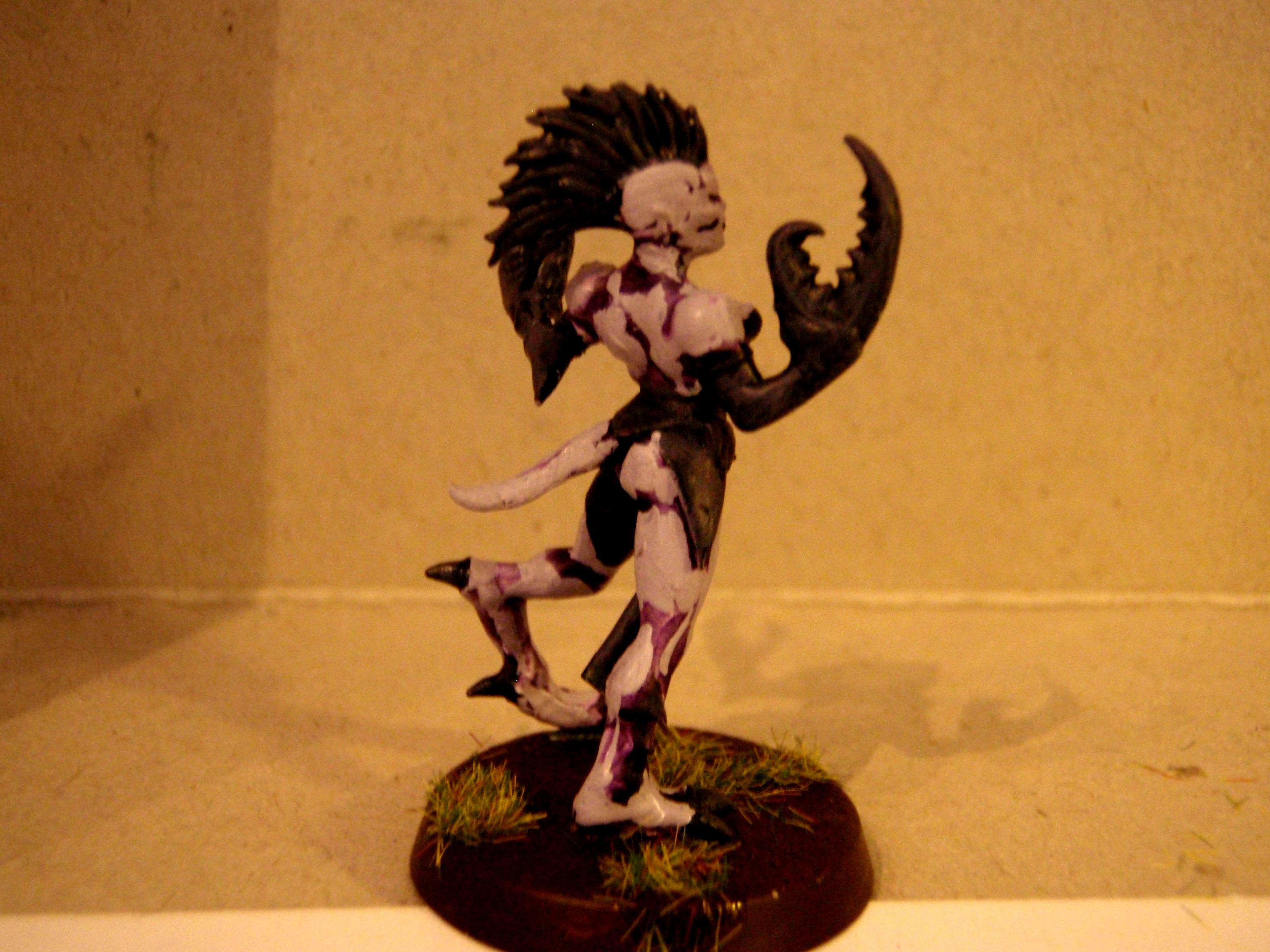 Daemonettes, Daemons, Slaanesh