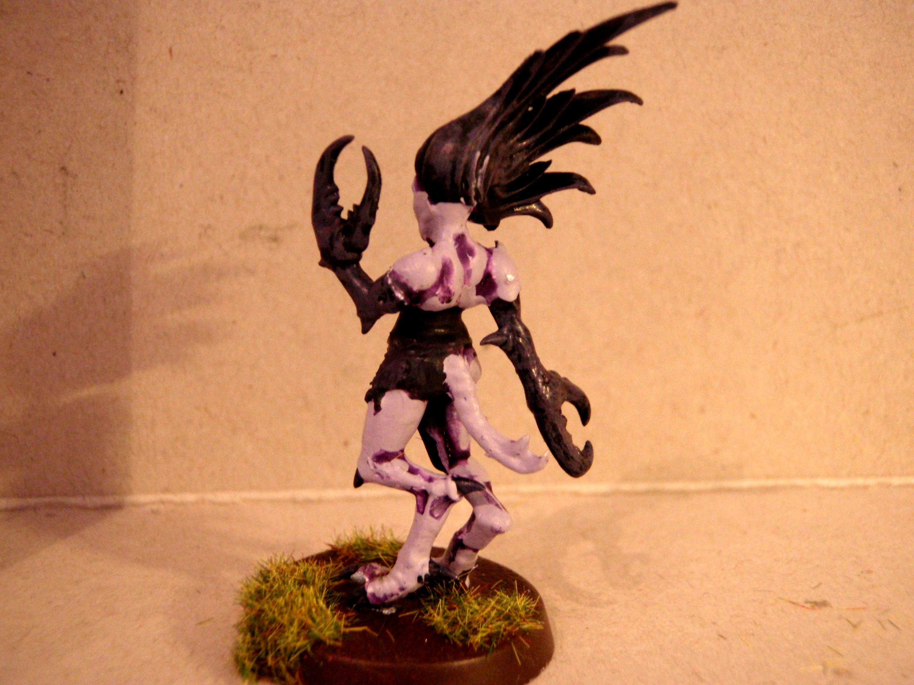 Daemonettes, Daemons, Slaanesh