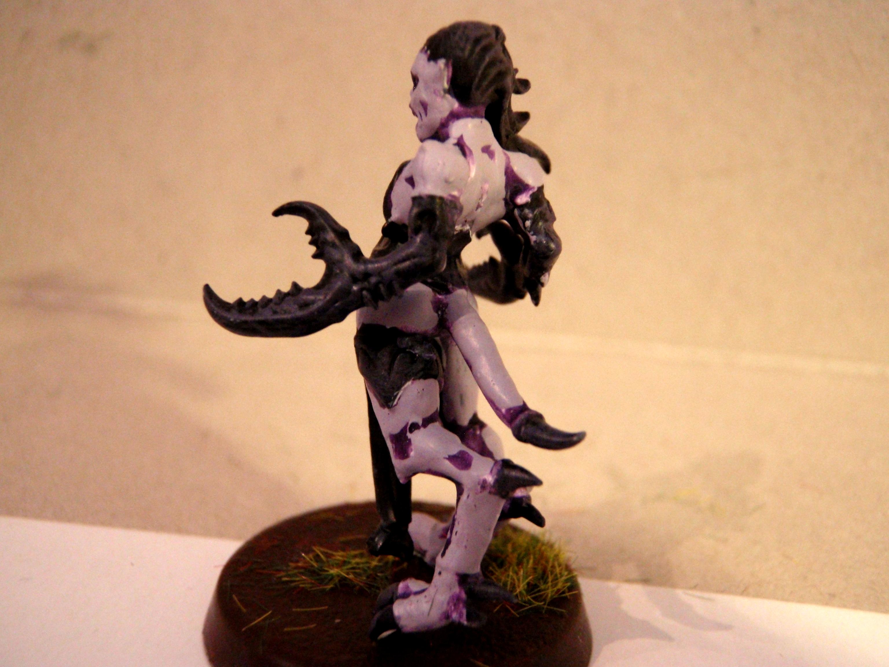 Daemonettes, Daemons, Slaanesh