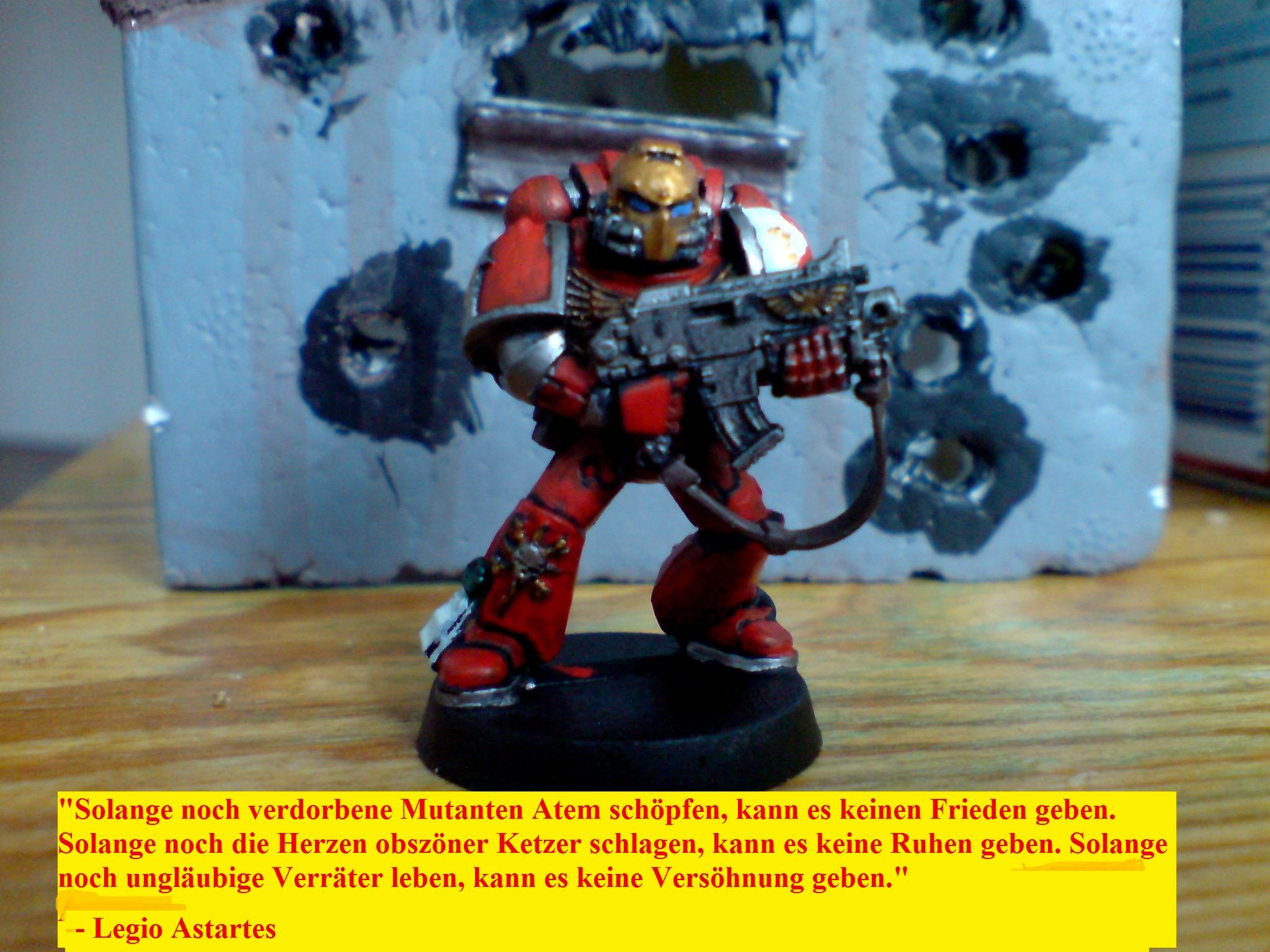 Space Marine 40k, Space Marines