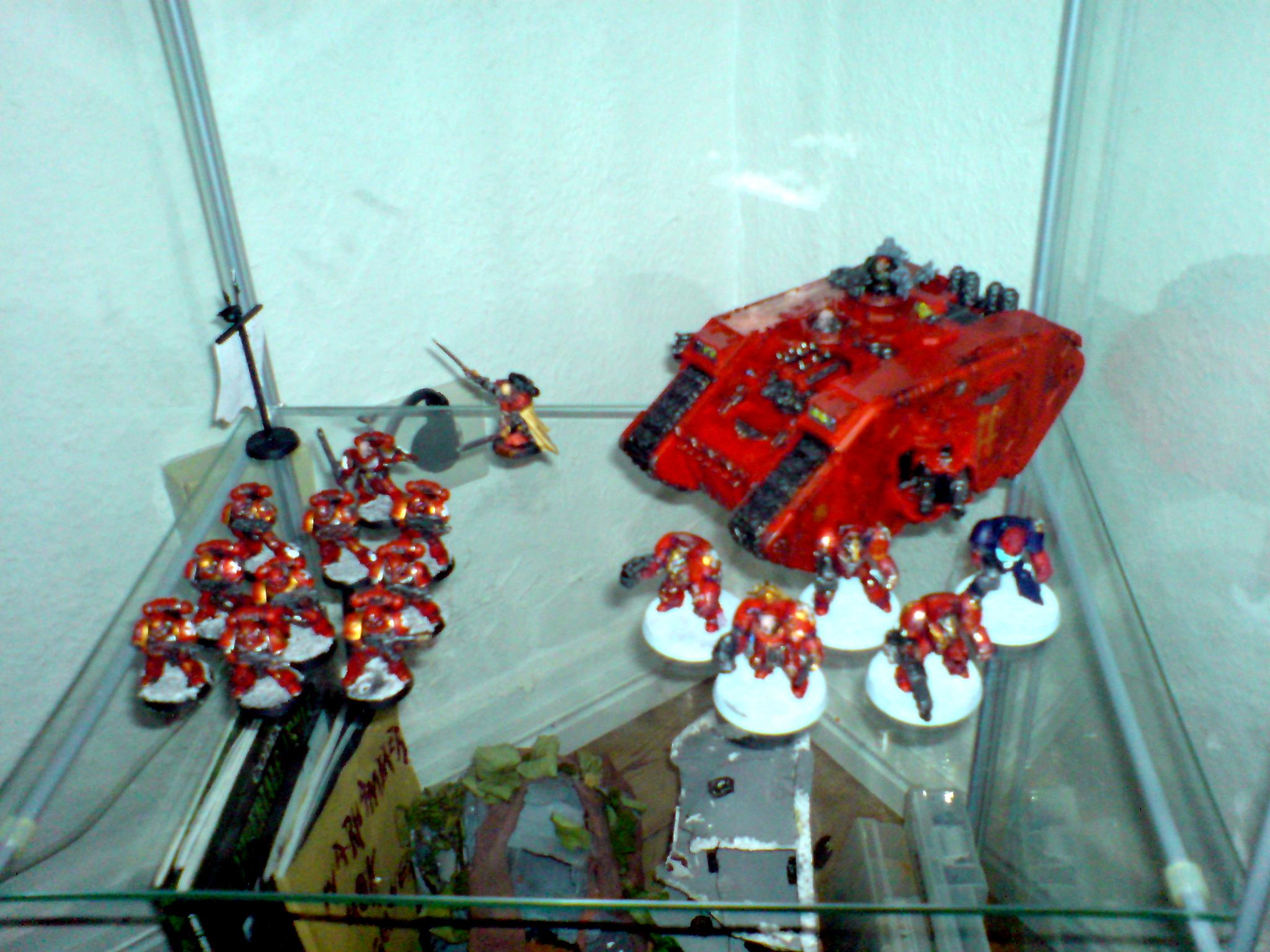 Space Marines, Space Marines 40k