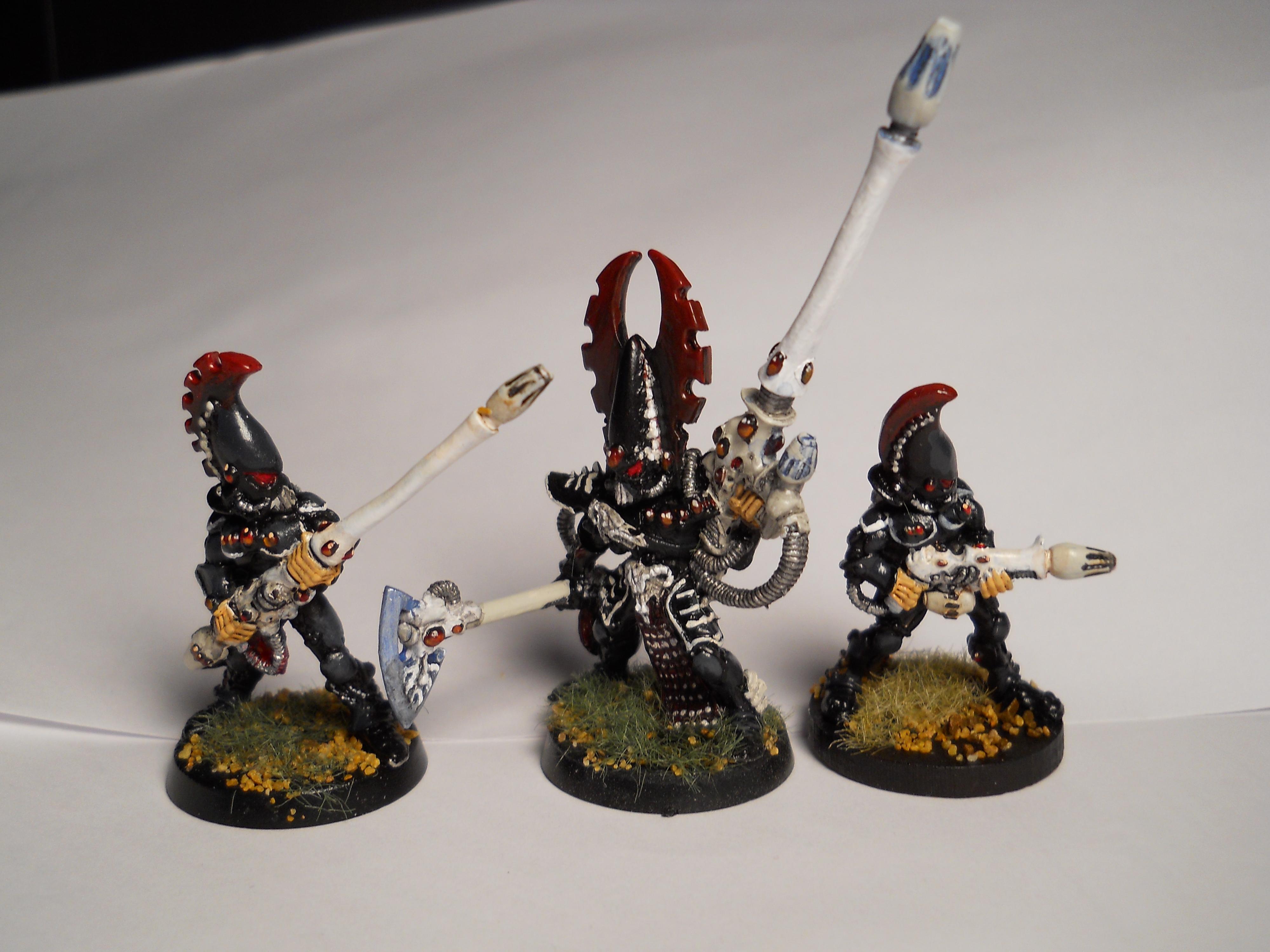 Eldar, Fire Dragon, Fuegan, Ulthwe