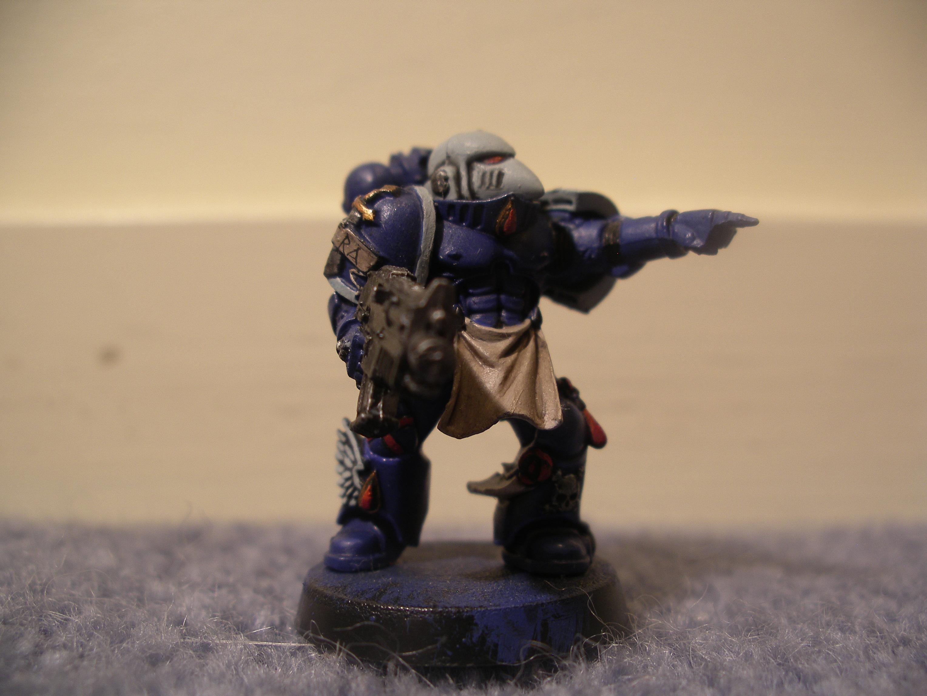 Plastic Sternguard Vet