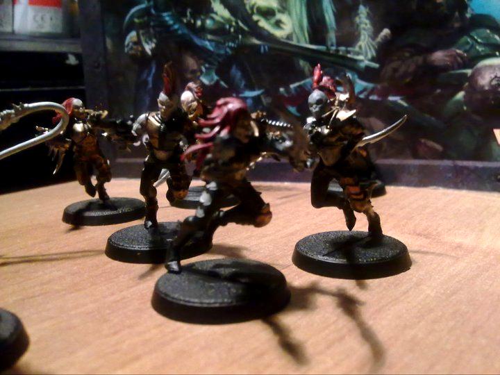 Dark Eldar Furie, Furie del Maless