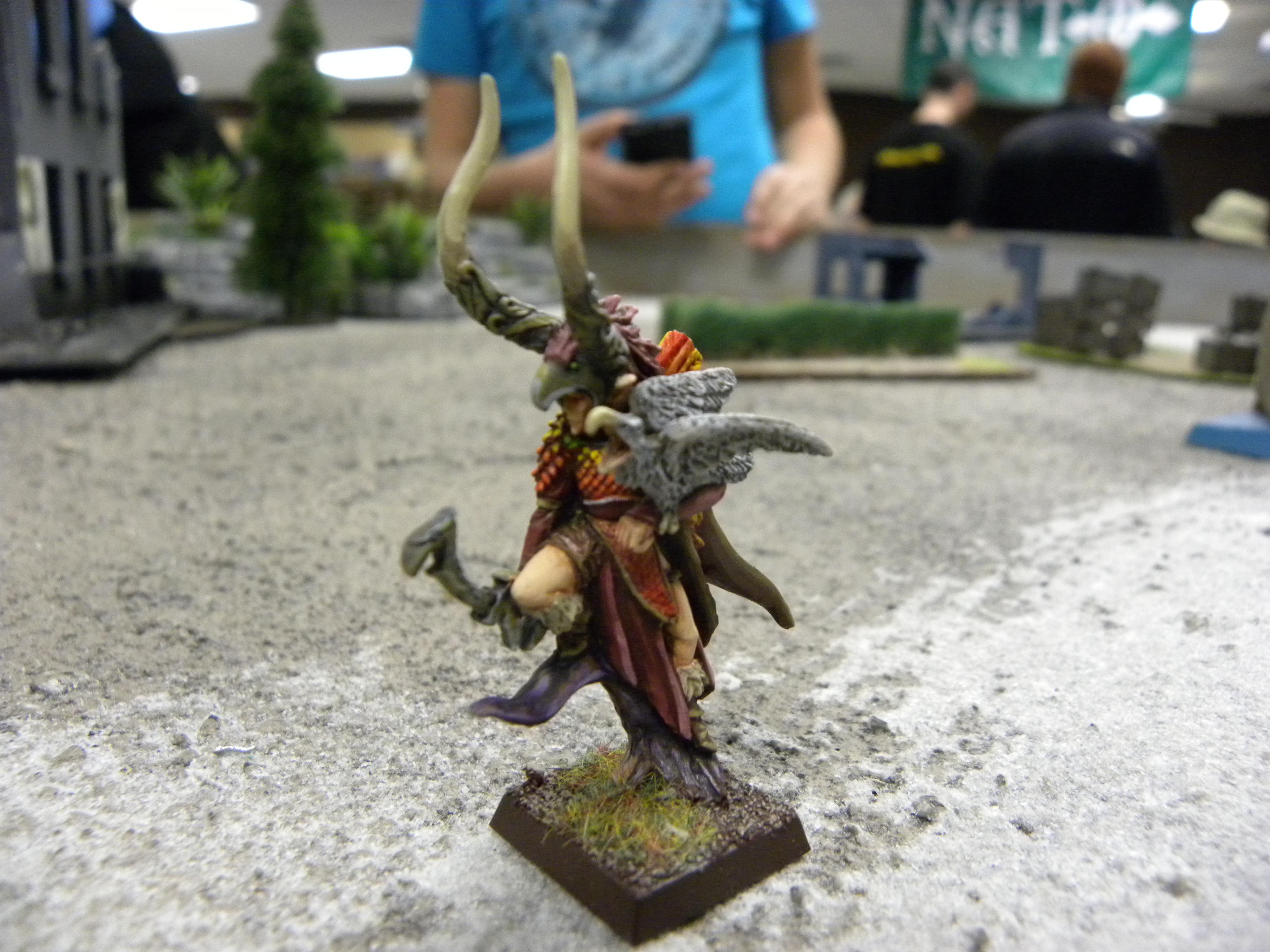 Elves, Wood Elves