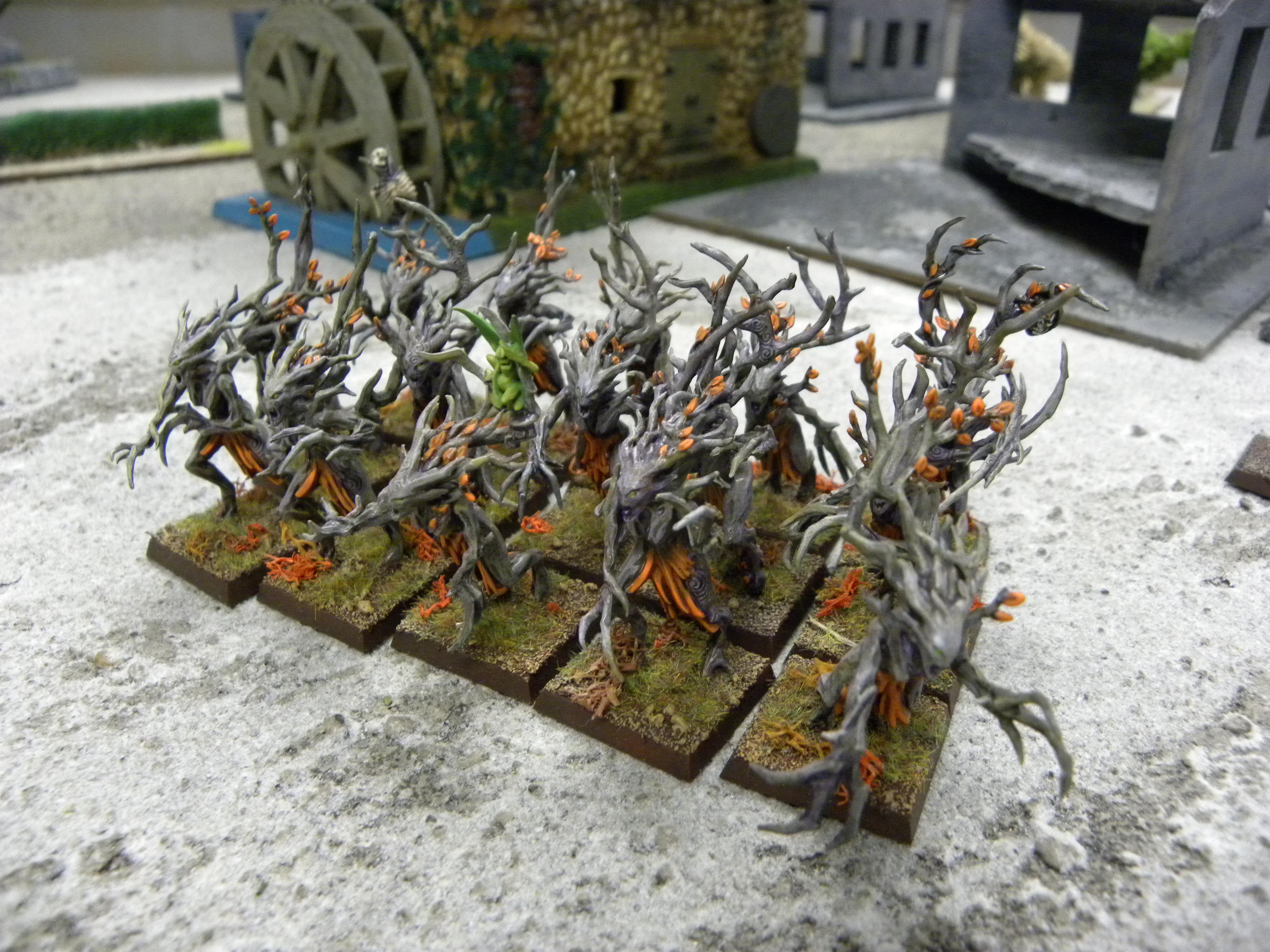 Elves, Warhammer Fantasy, Wfb, Wood Elves