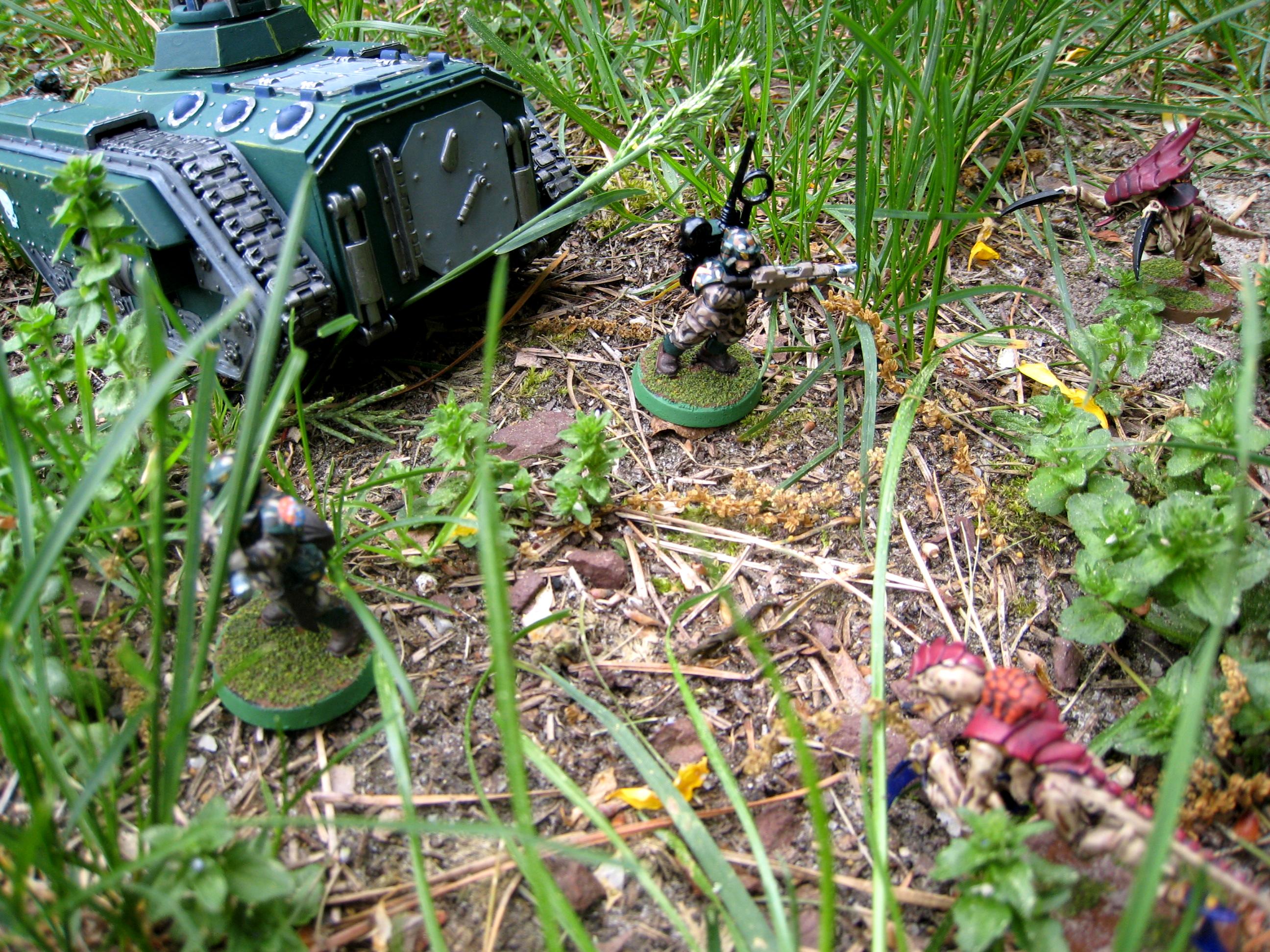 Chimera, Company Command Squad, Diorama, Hive Fleet Kraken, Imperial Guard, Imperial Guard Hive Fleet Kraken Diorama Chimera Company Command Squad Infantry Platoon Plasma Gun Lascannon, Infantry Platoon, Lascannon, Plasma Gun, Warhammer 40,000