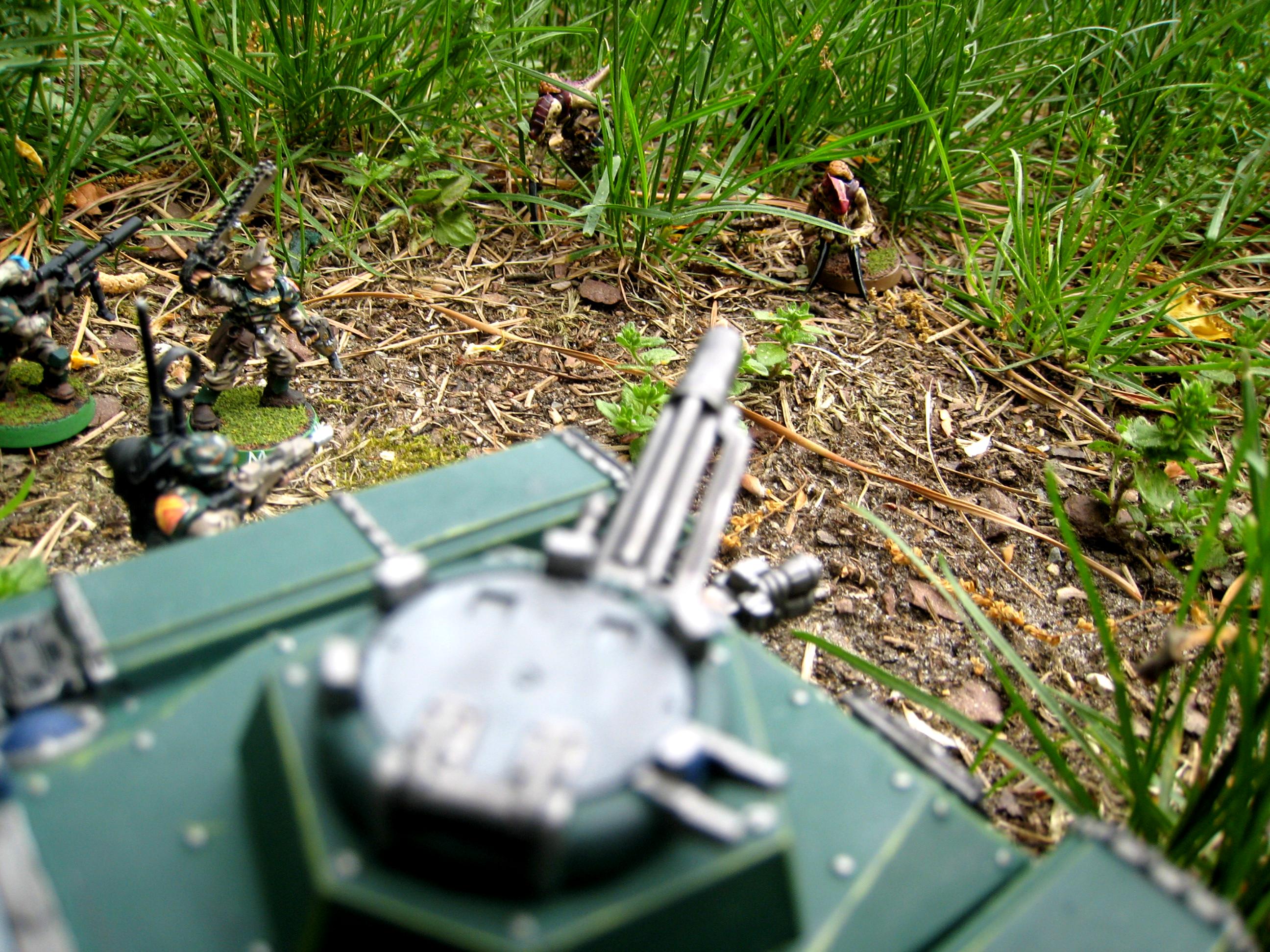 Imperial Guard Hive Fleet Kraken Diorama Chimera Company Command Squad Infantry Platoon Plasma Gun Lascannon