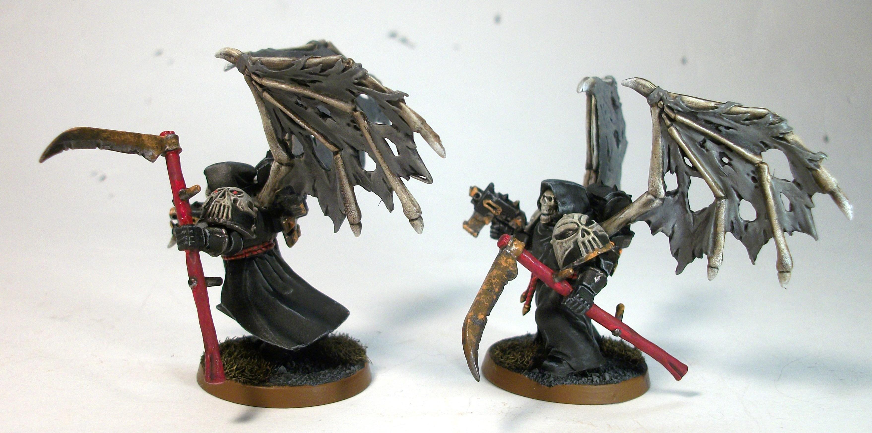 Chaos, Raptors