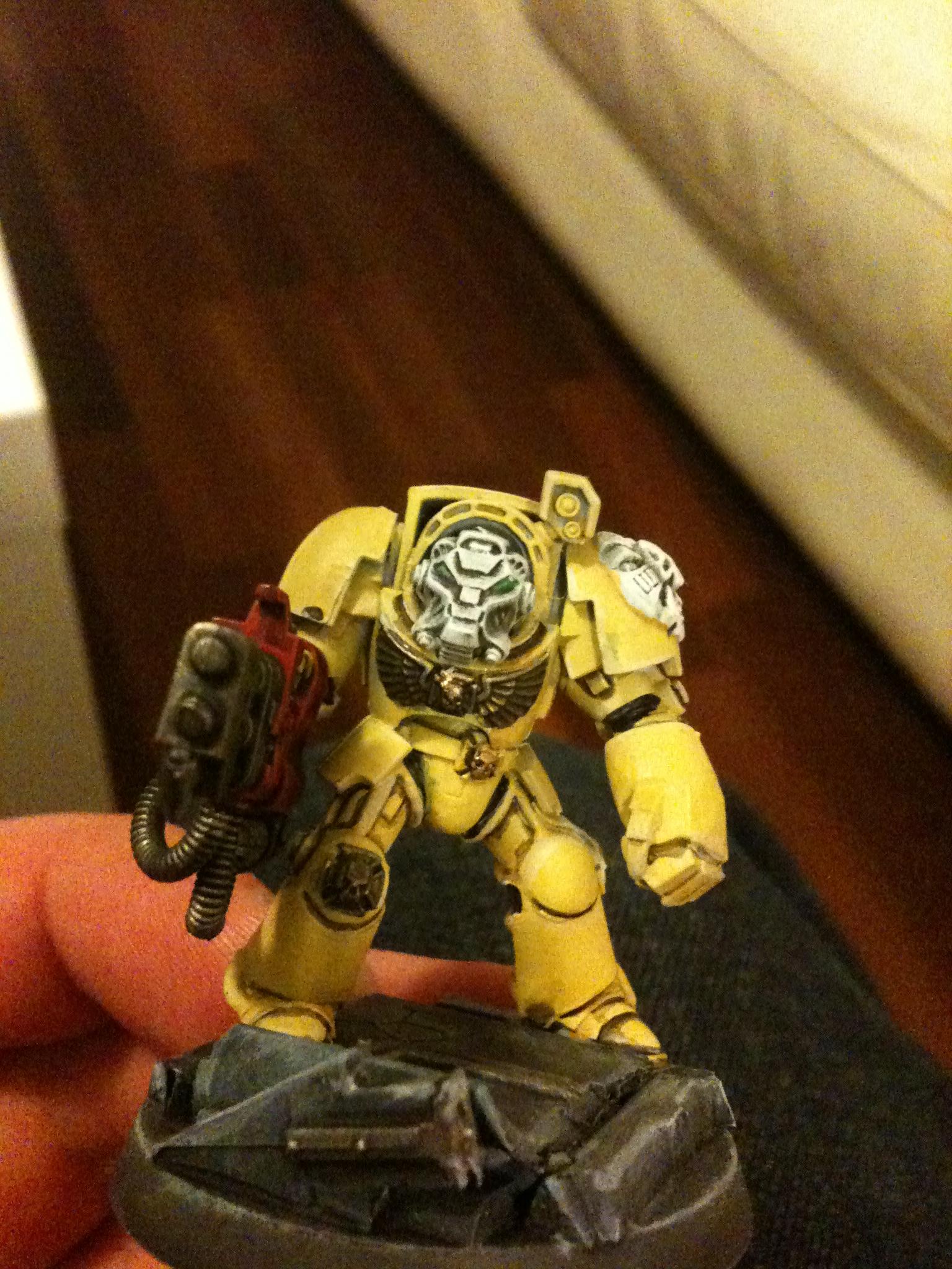 Imperial Fists Terminator 