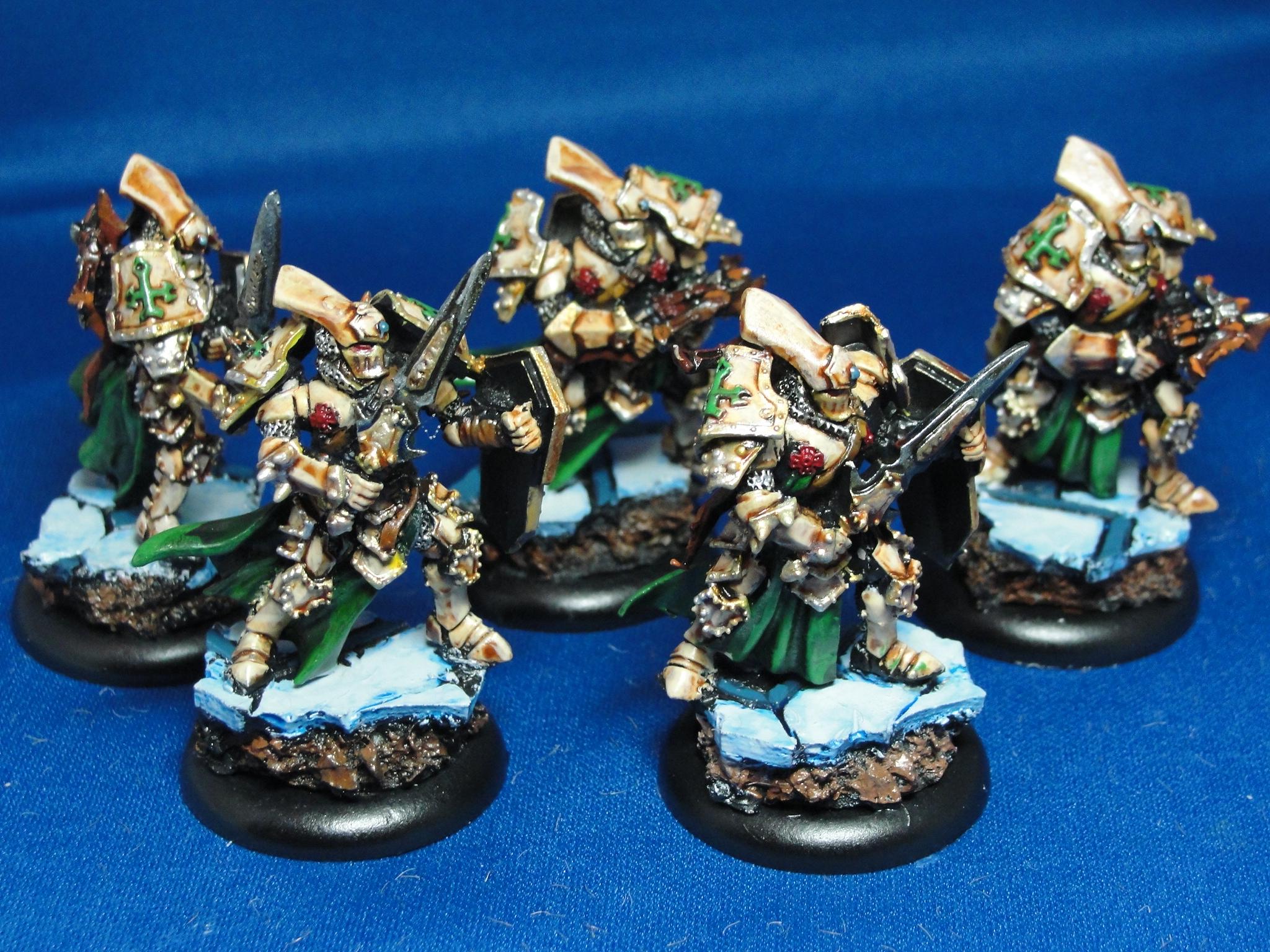 Warmachine, Protectorate of Menoth, Knights Exemplar Errants