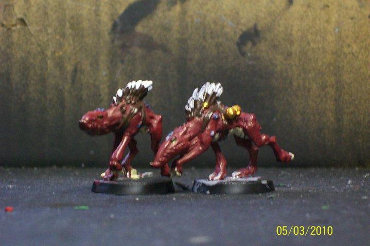 Kroot, Kroot Hounds, Tau