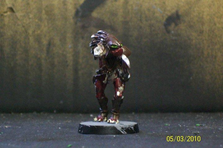Kroot, Kroot Shaper, Tau
