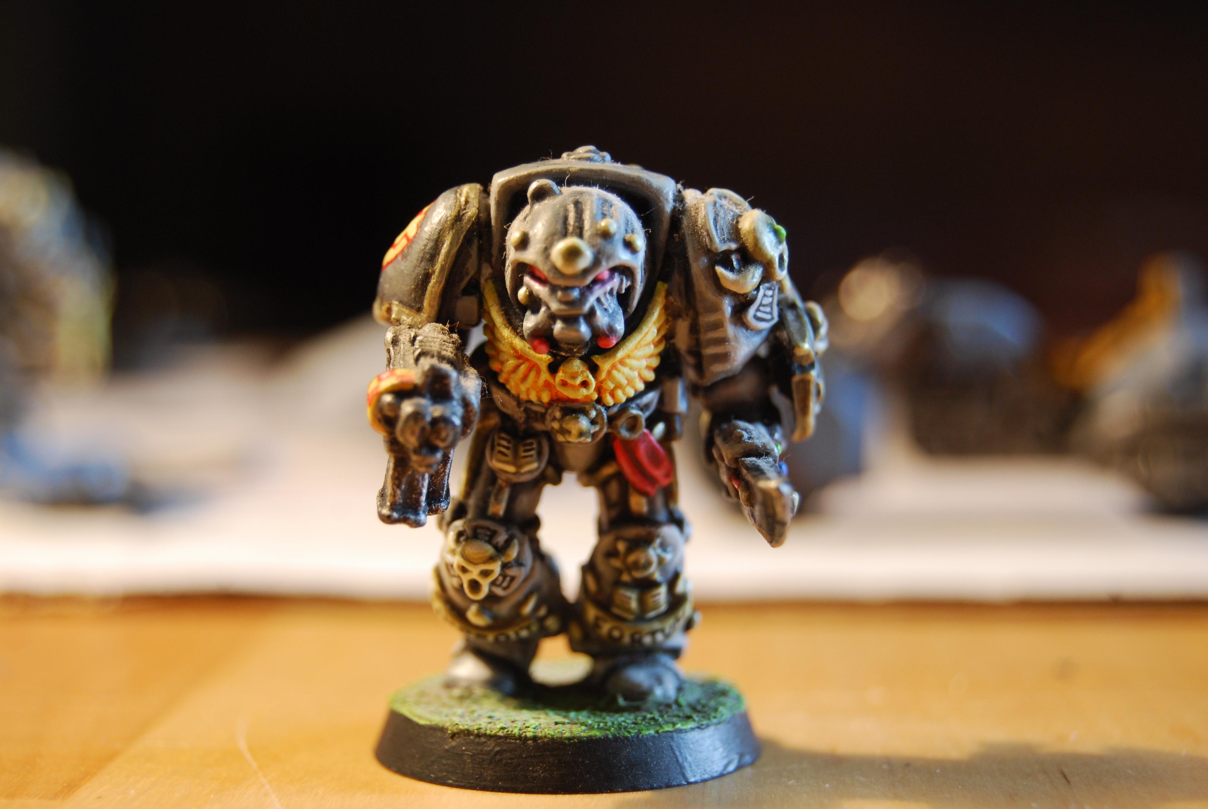 Librarian, Rogue Trader, Space Wolves, Terminator Armor, Wolf Priest