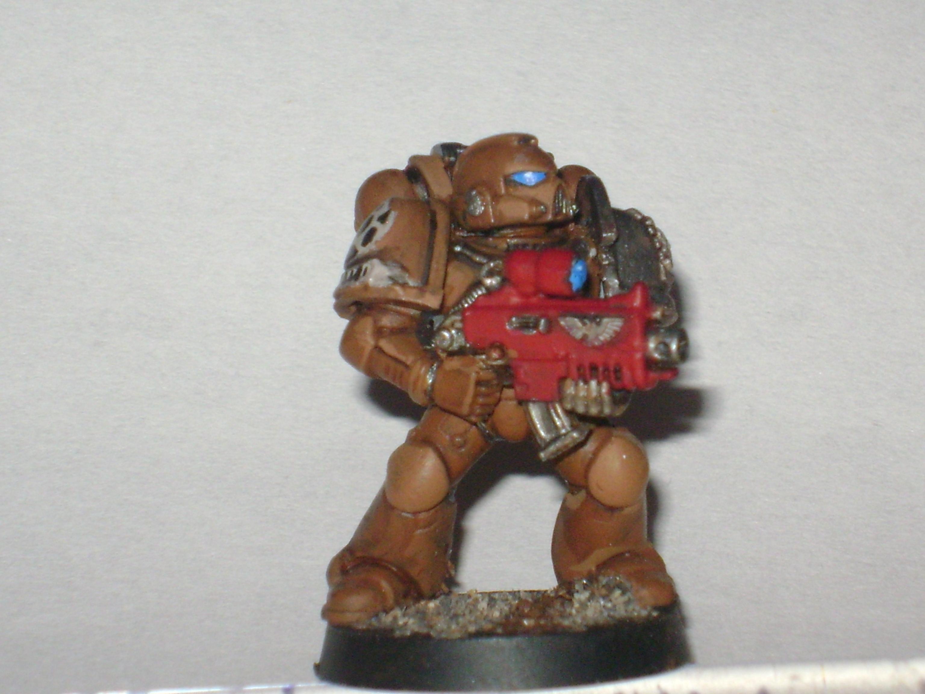 DW Veteran 2