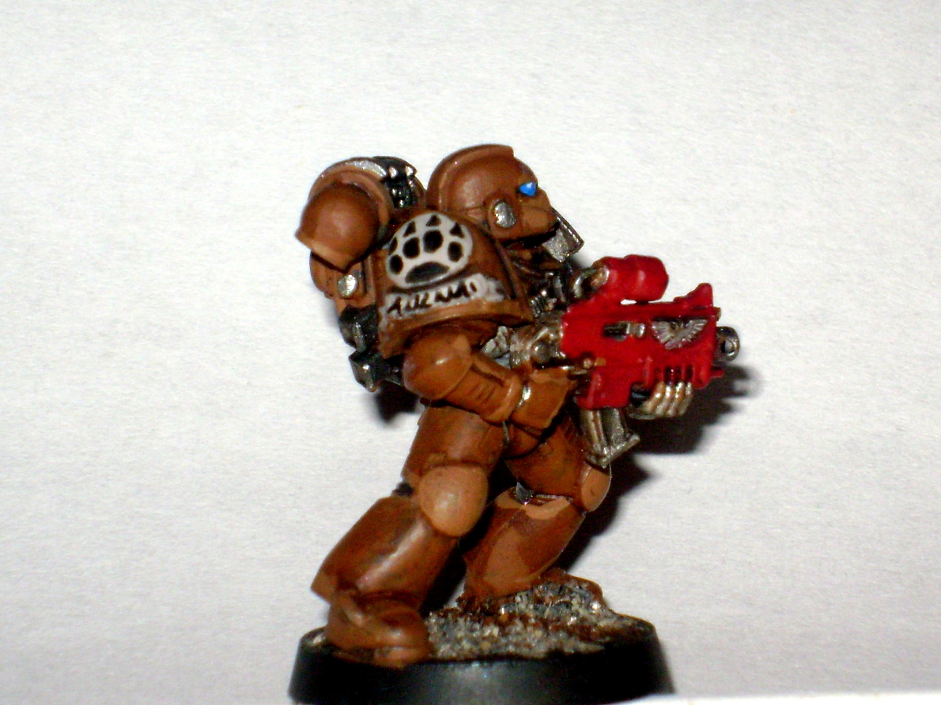 DW Marine