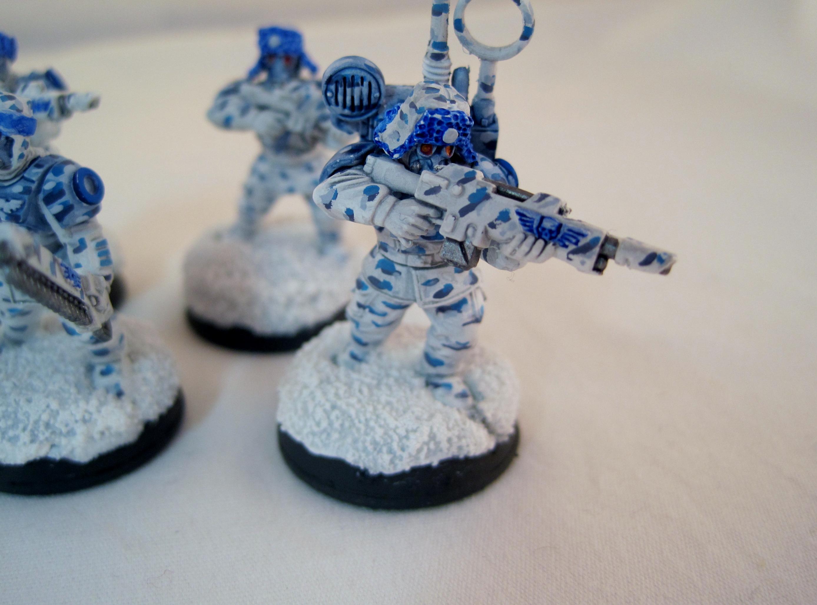Winter - Blue - Vox
