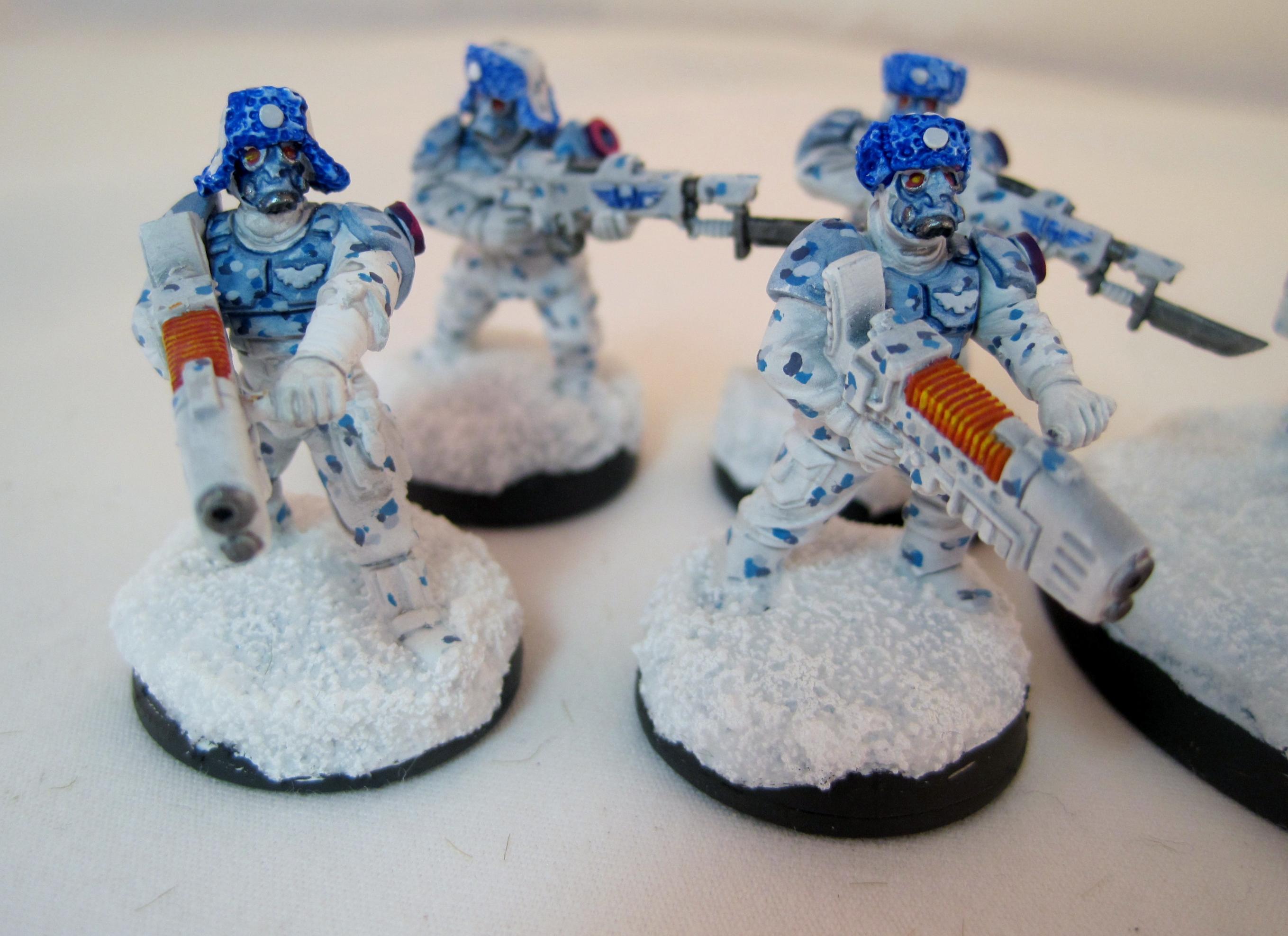 Winter - Veteran - Plasma