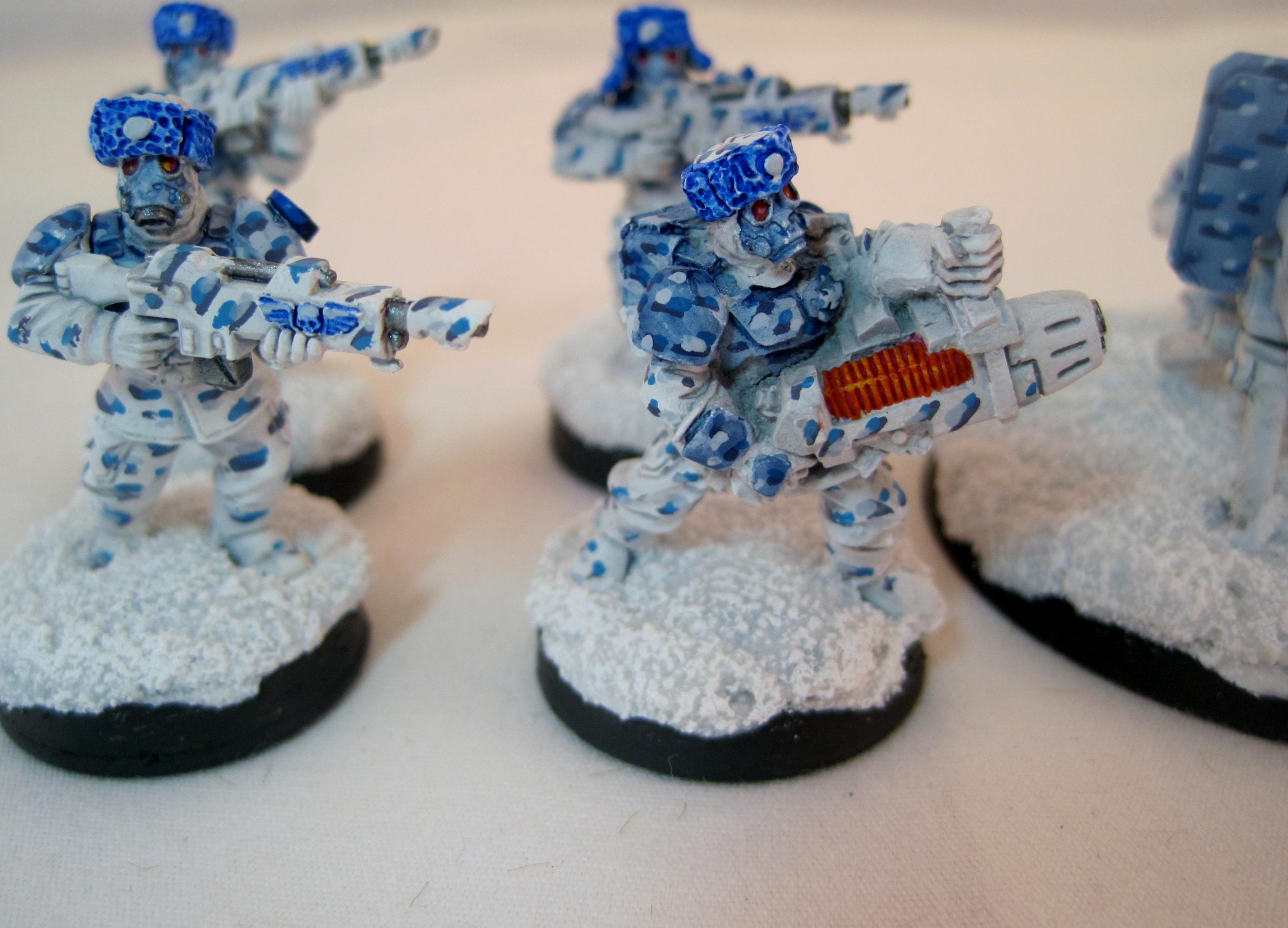 Winter - Blue - Plasma