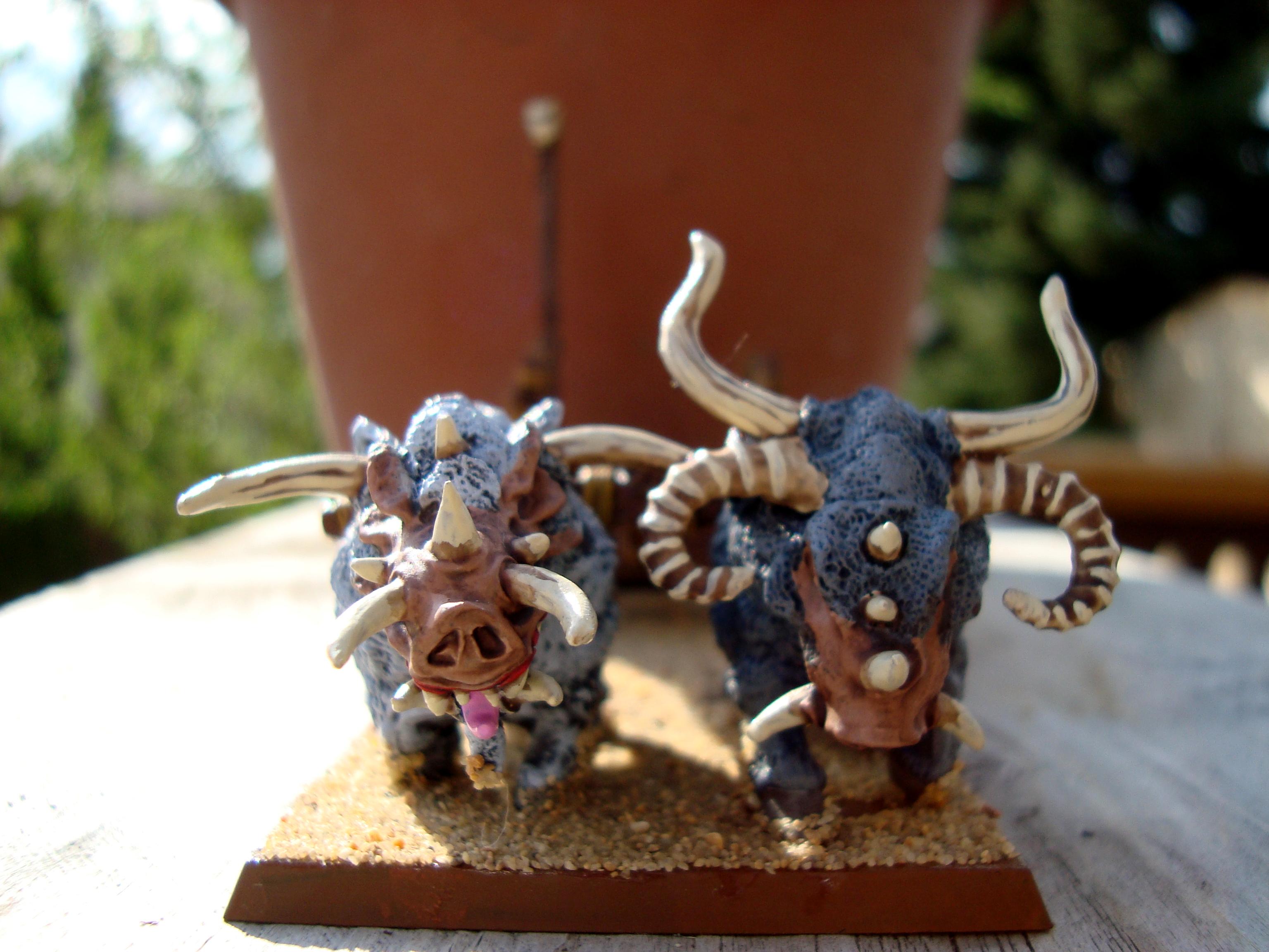Chariot boars