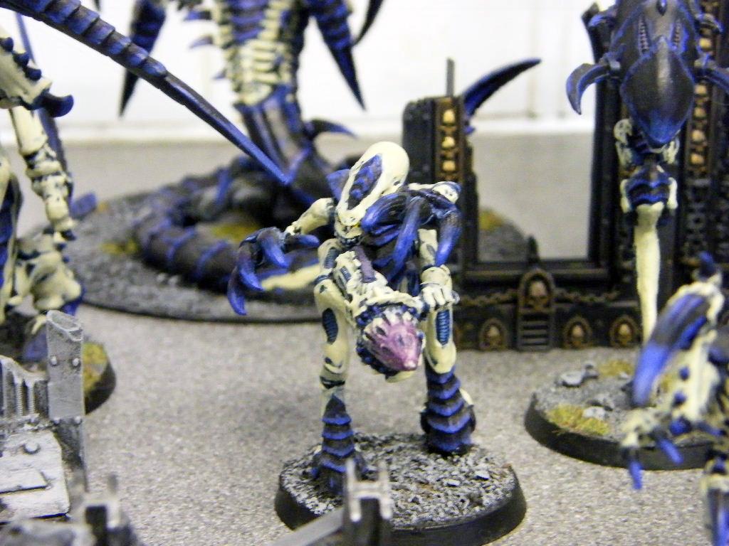 Hive Fleet Nemesis, Tyranid Warriors, Tyranids, Warhammer 40,000