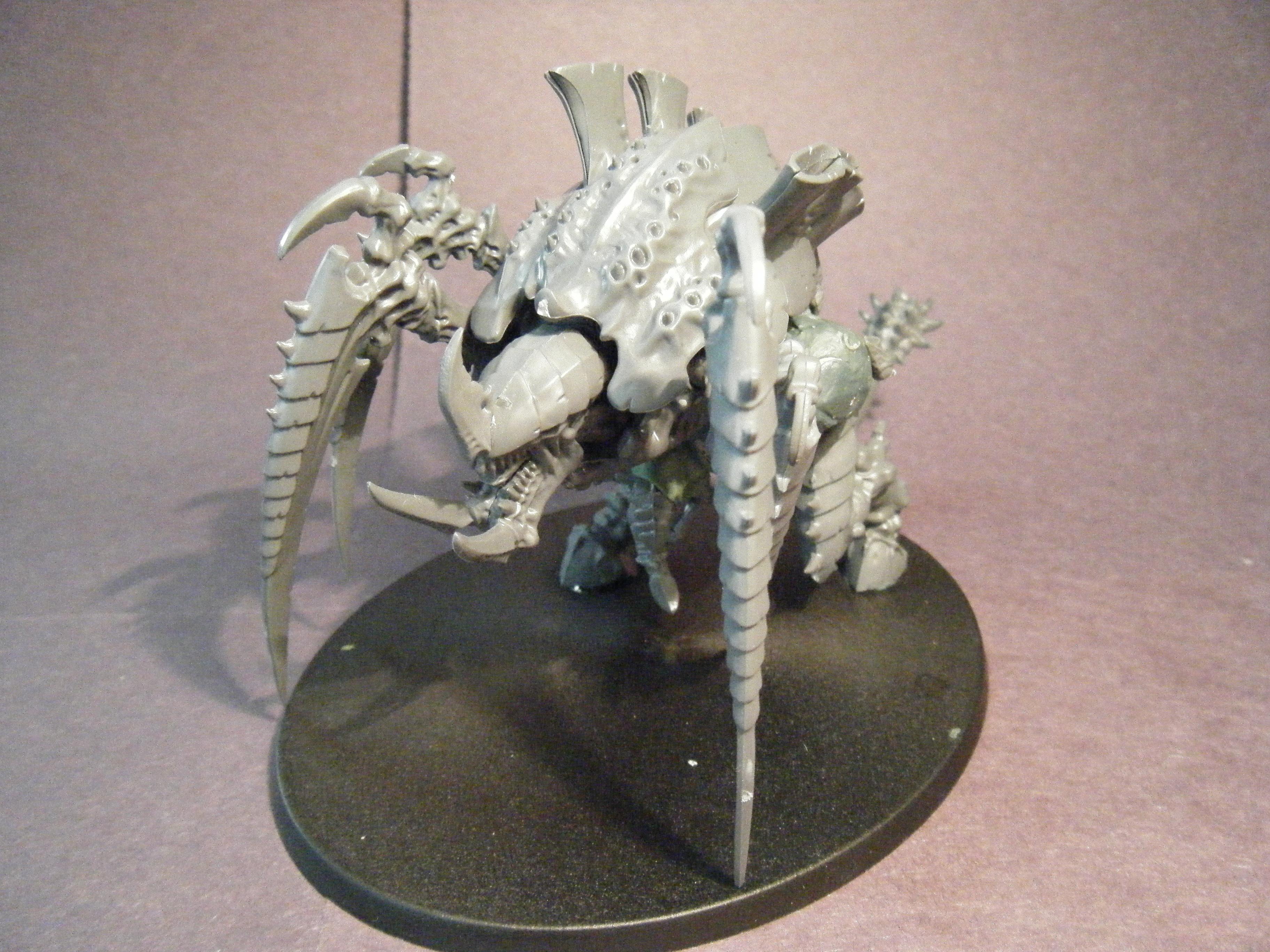 Tervigon #8 (1)