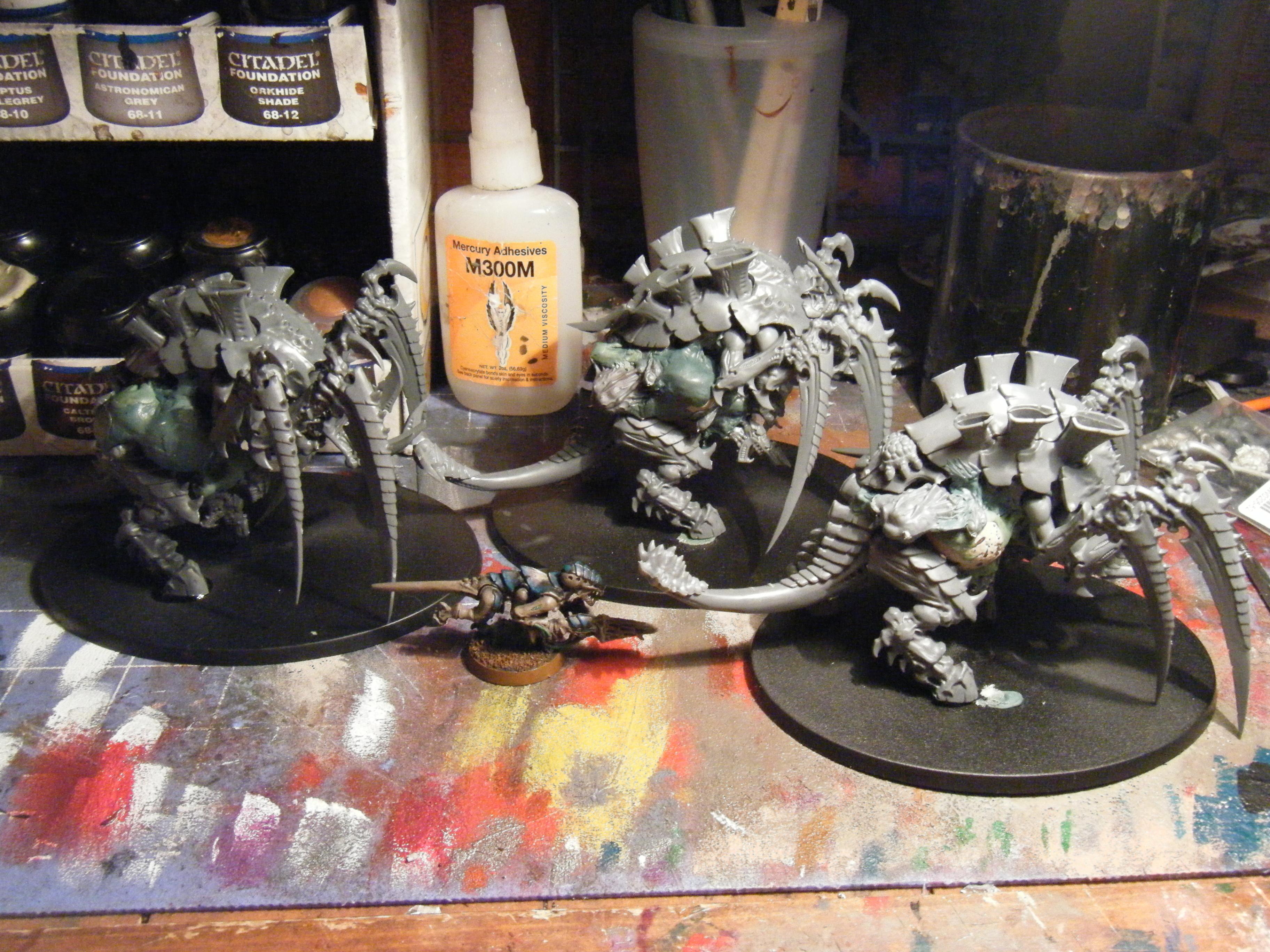 Tervigon Group (1)