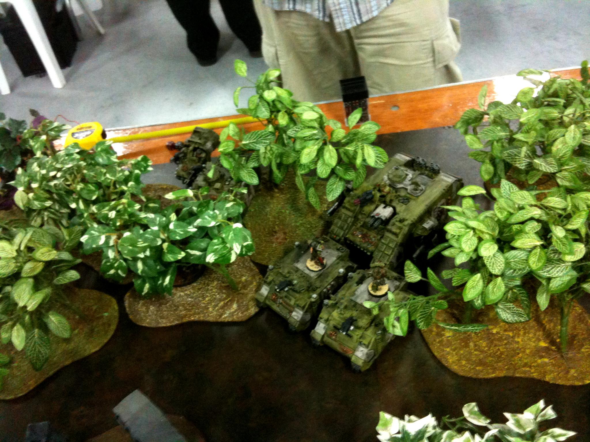 Jungle, Space Marines, Tyranids
