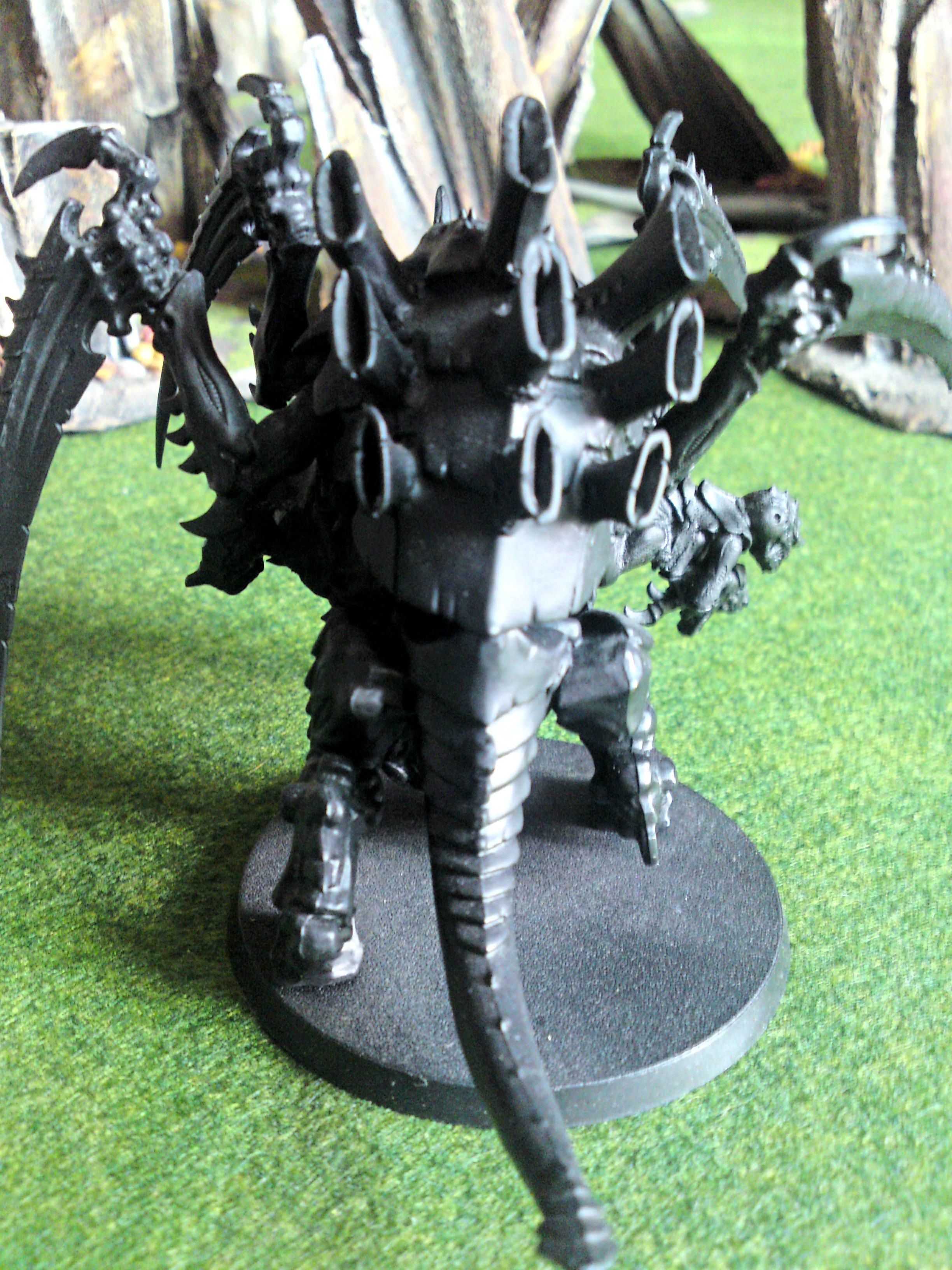 Tervigon Back