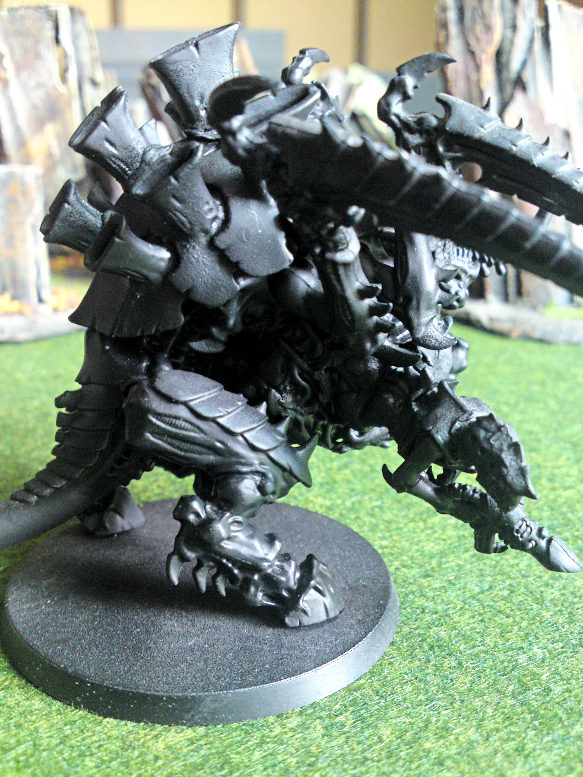 Tervigon Side 1