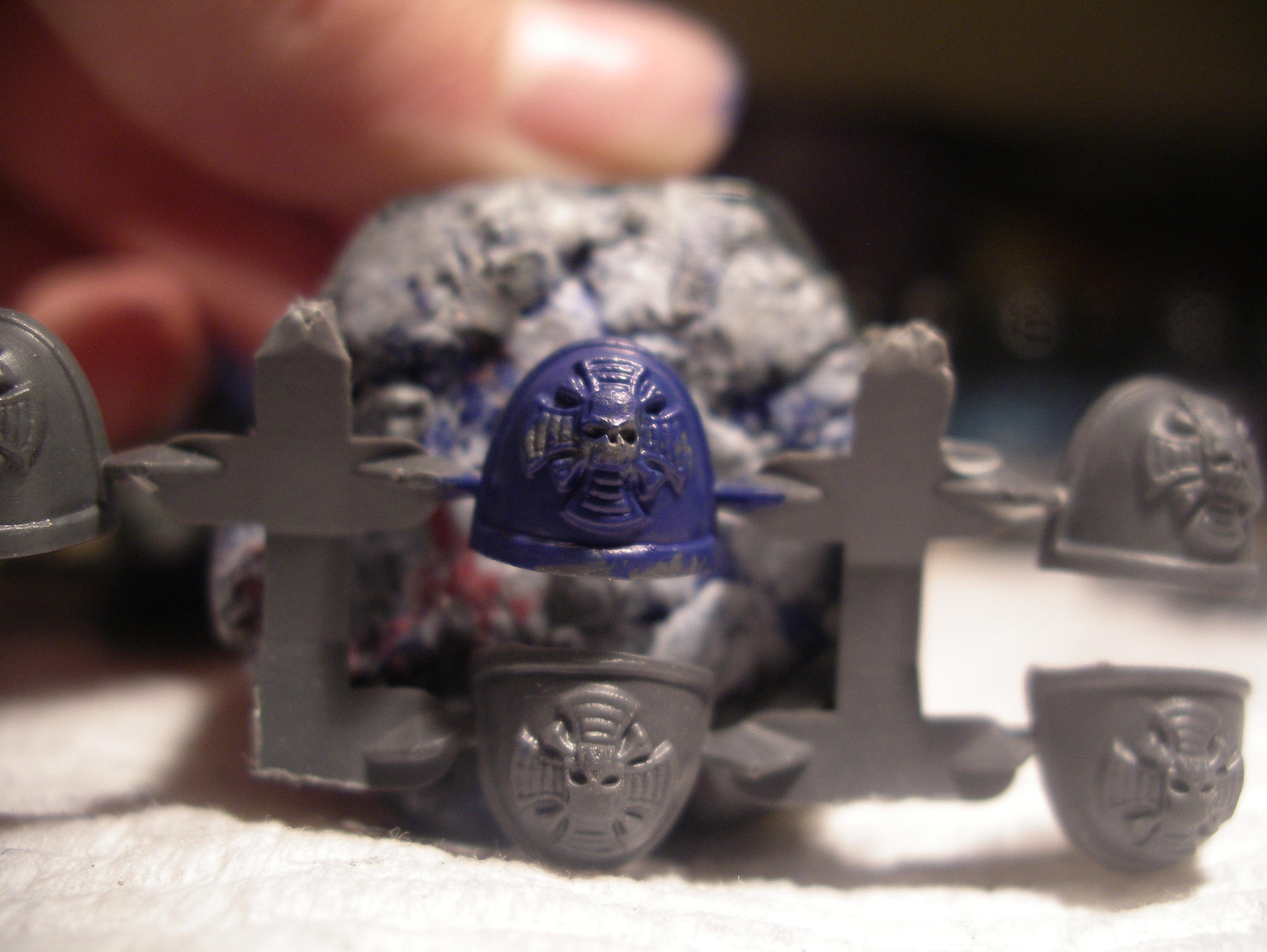 termie honours WIP