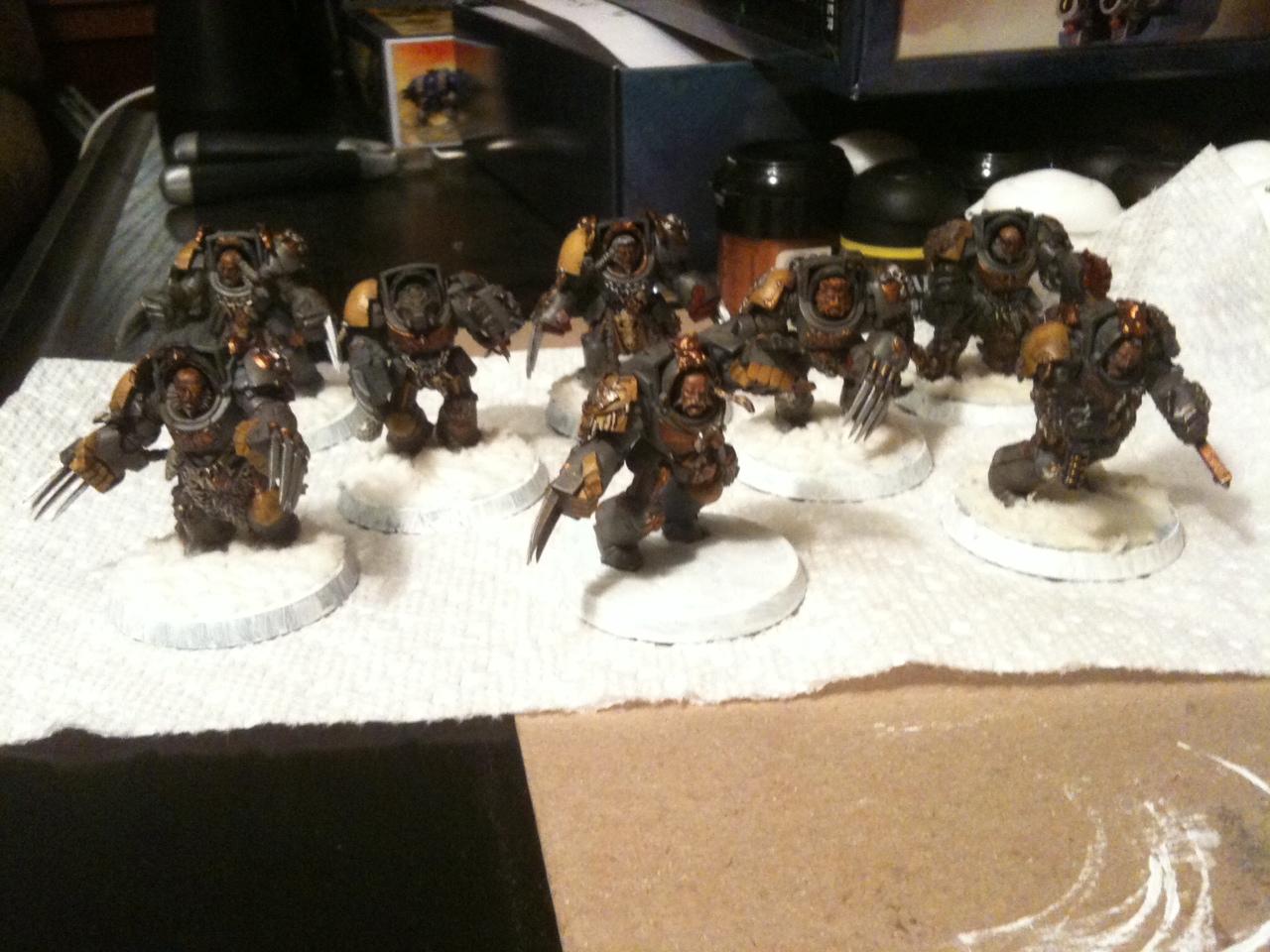 Space Wolves, Terminator Armor, Wolf Claws, Wolf Guard
