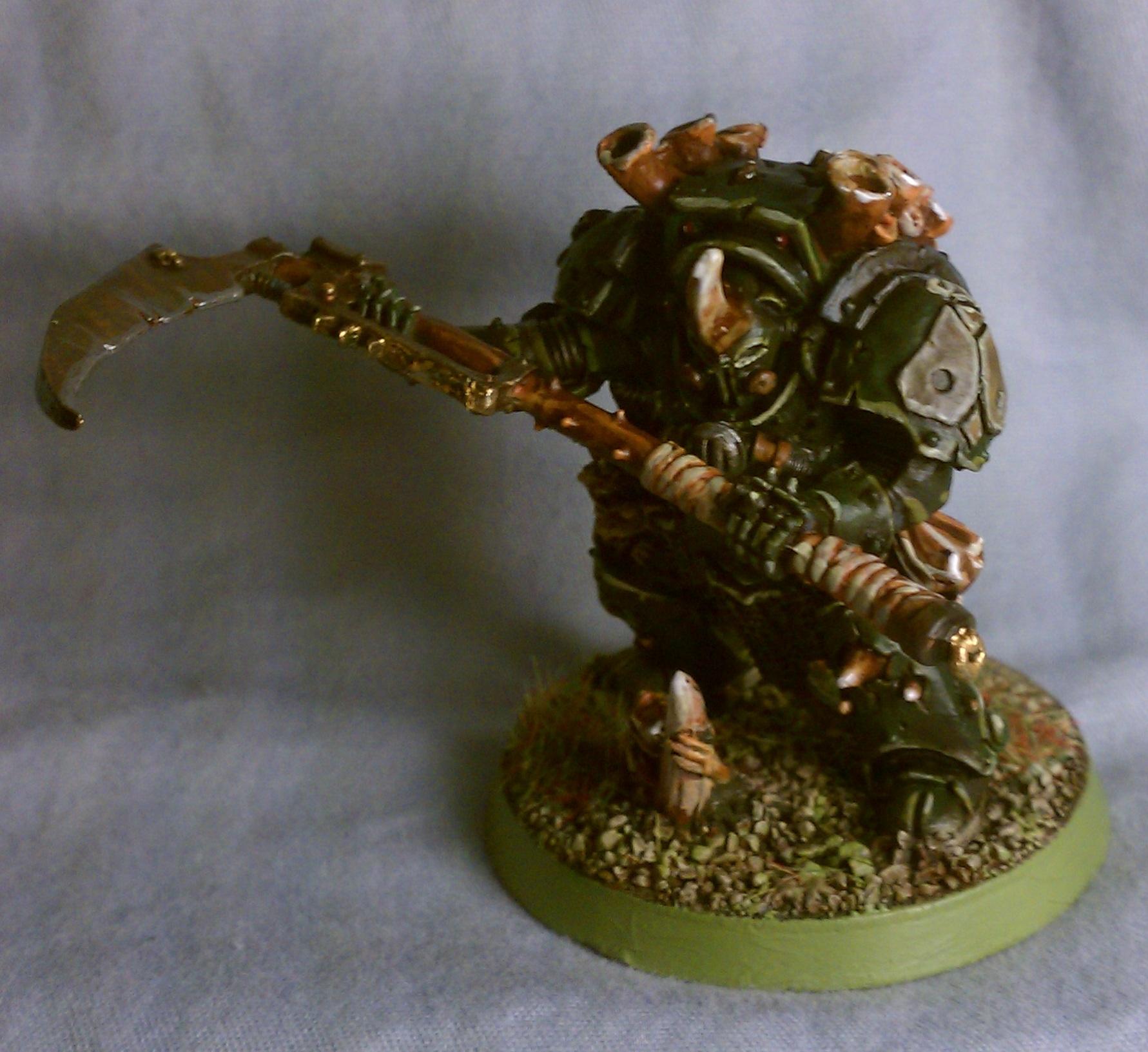Typhus Front