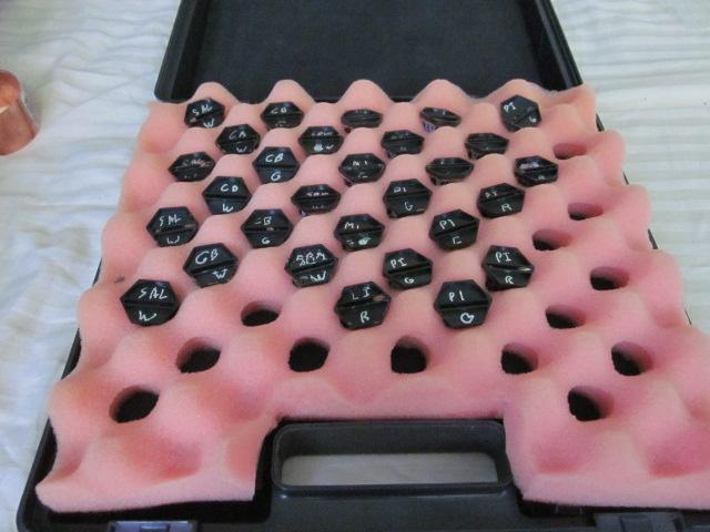 Do-it-yourself, Foam, Miniatures Case