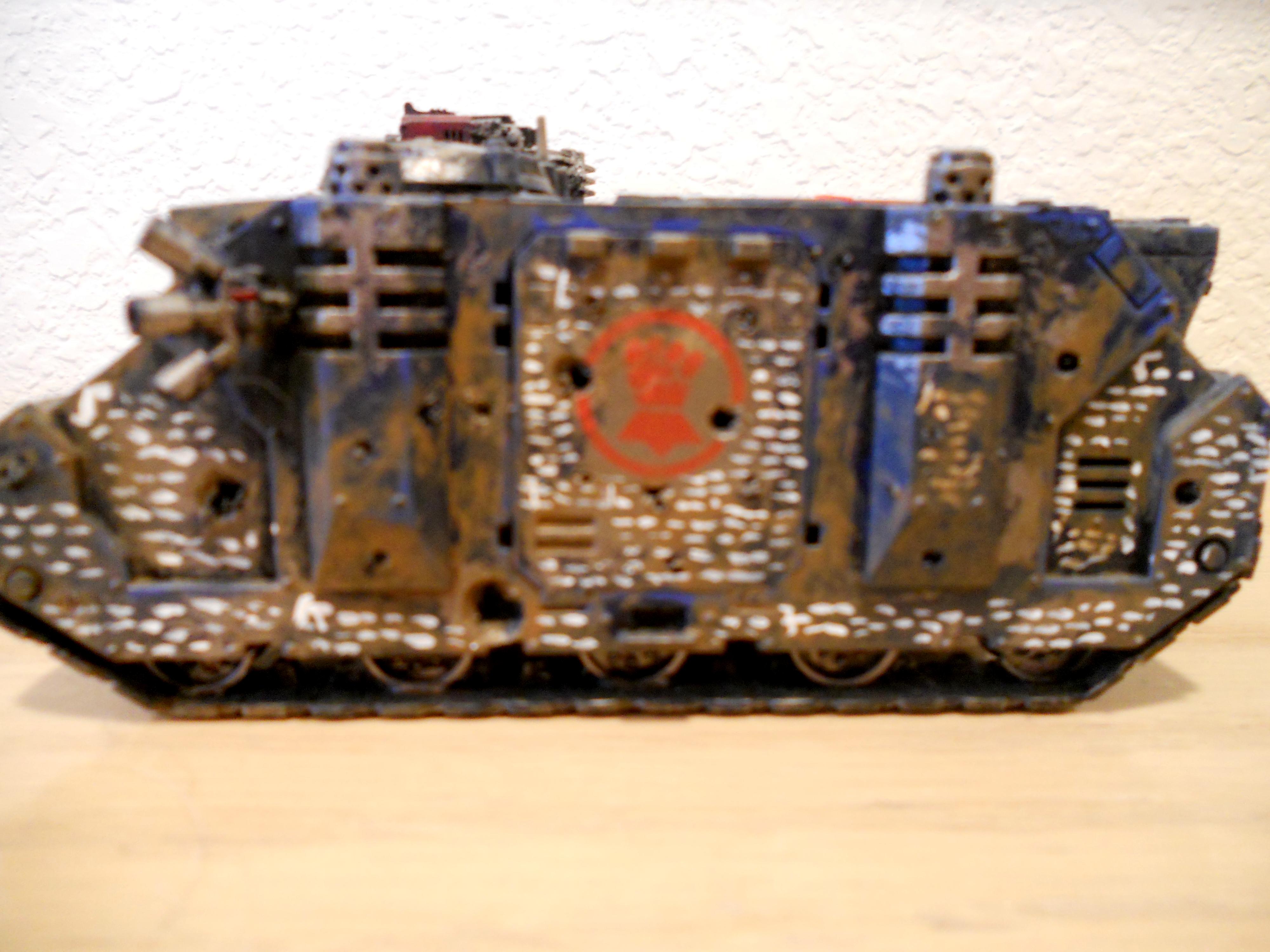 Vet Rhino Side