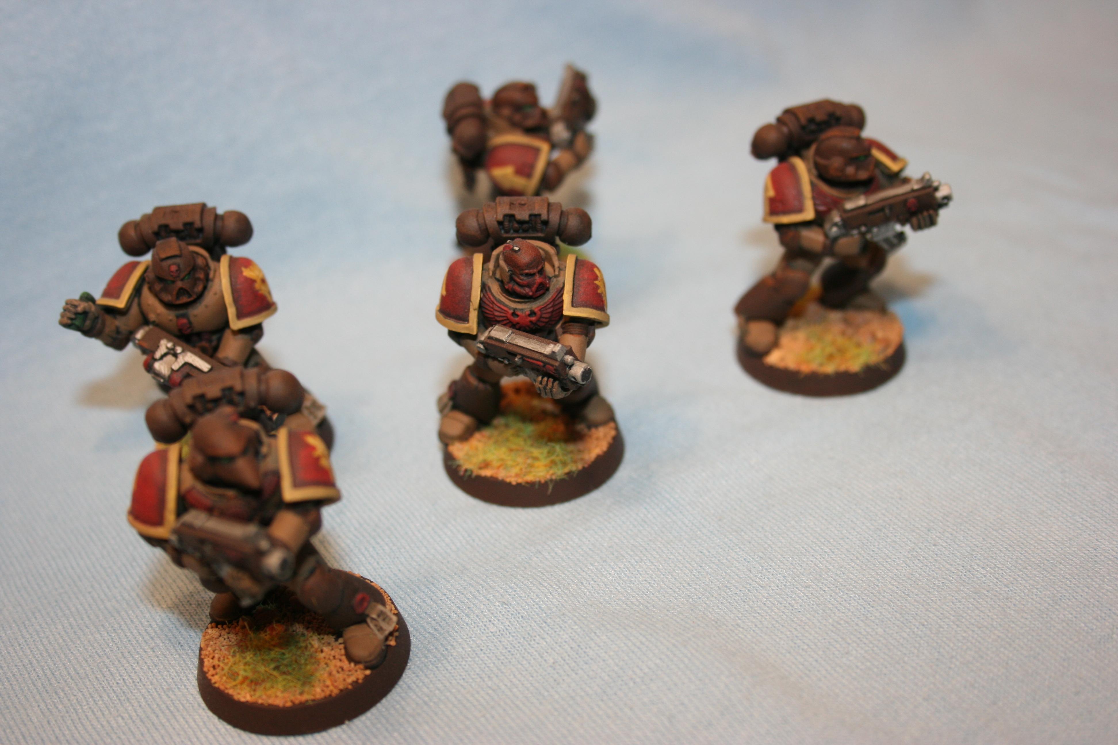 Feral, Fury, Lion, Sabretusk, Space Marines
