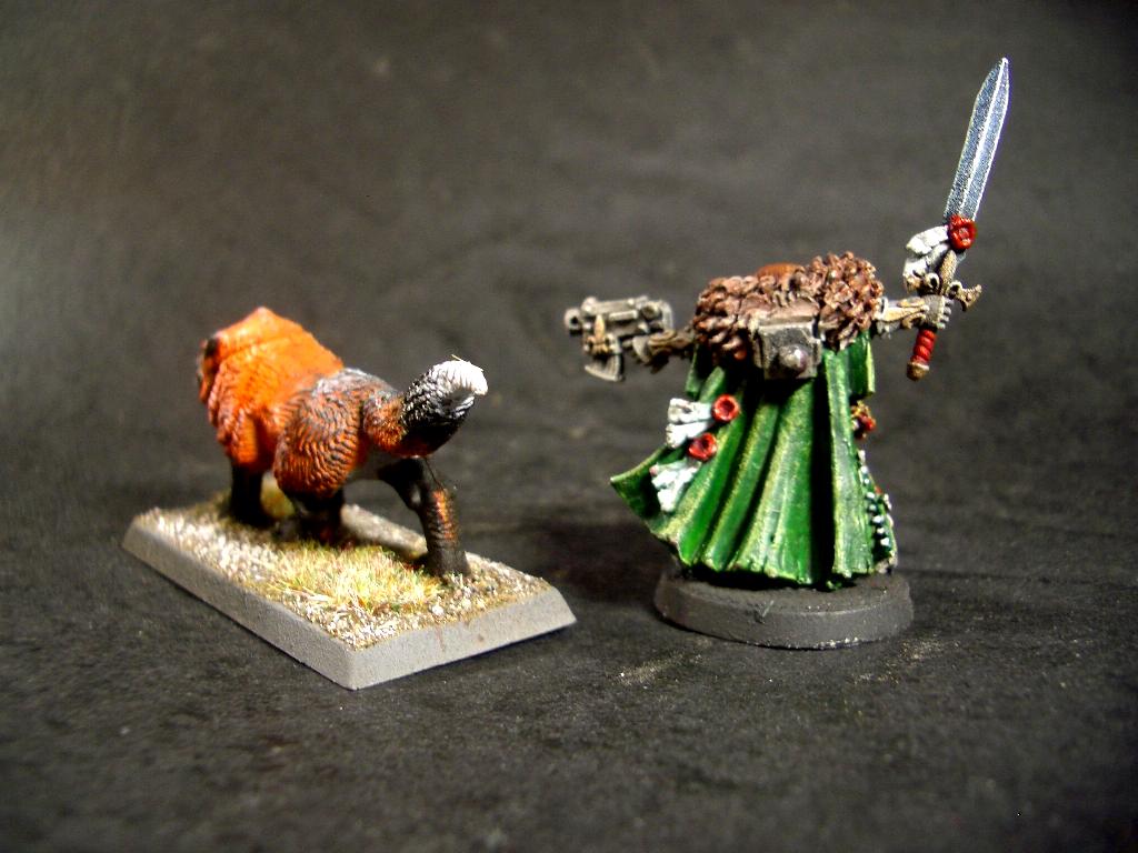 Sisters Of Battle
