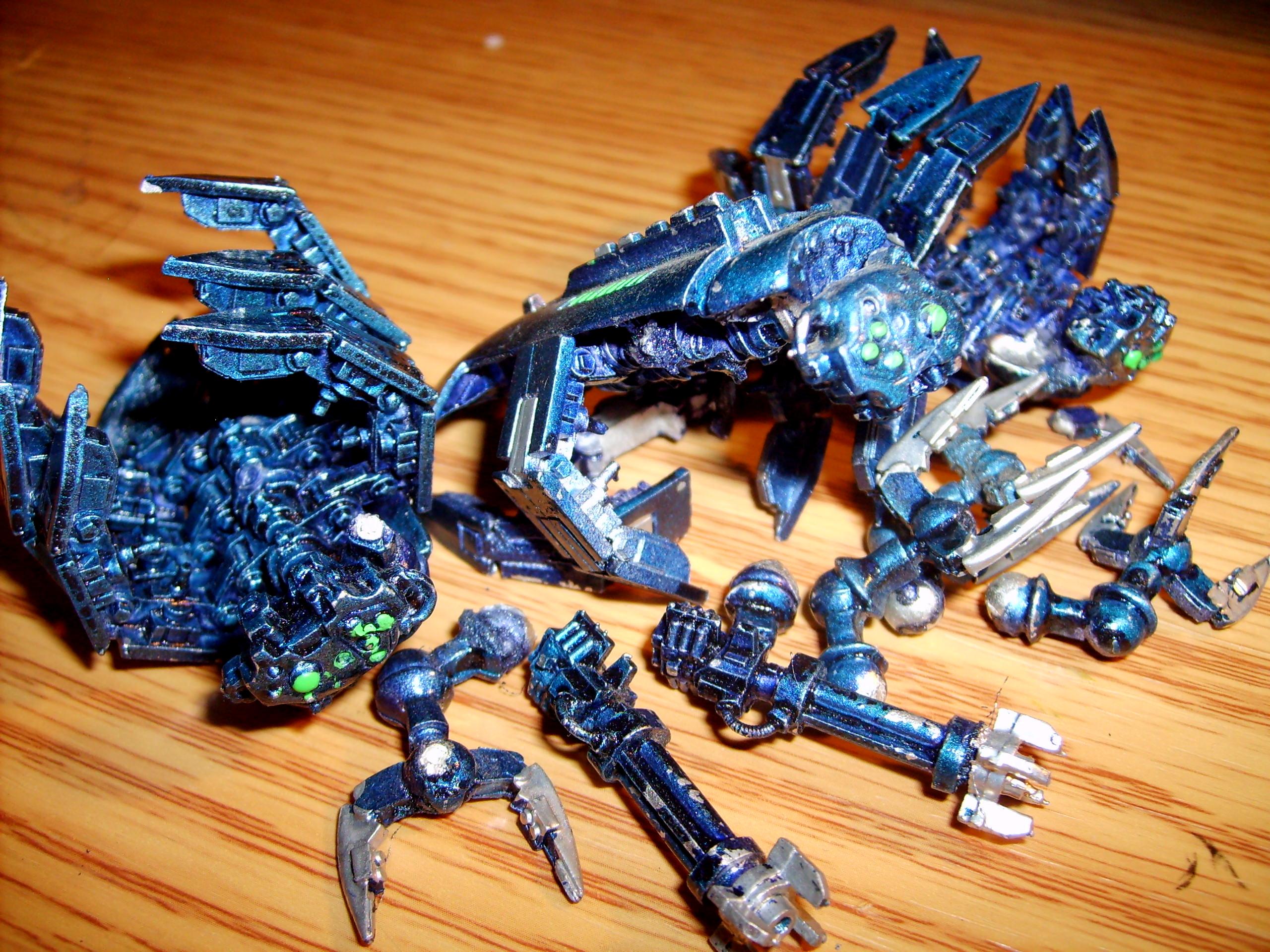 tomb spyders