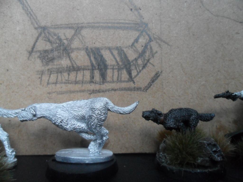 irish wolf hound sizes
