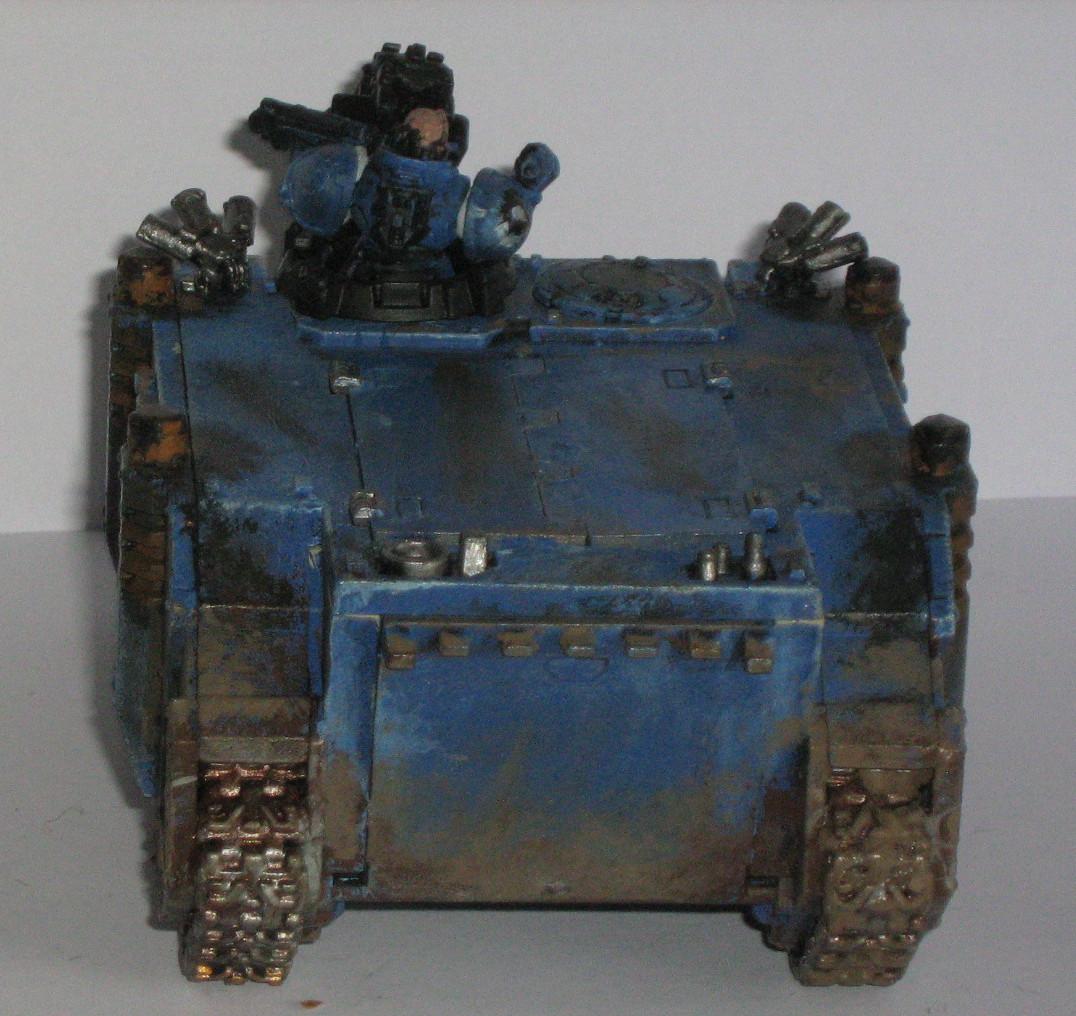 rhino back