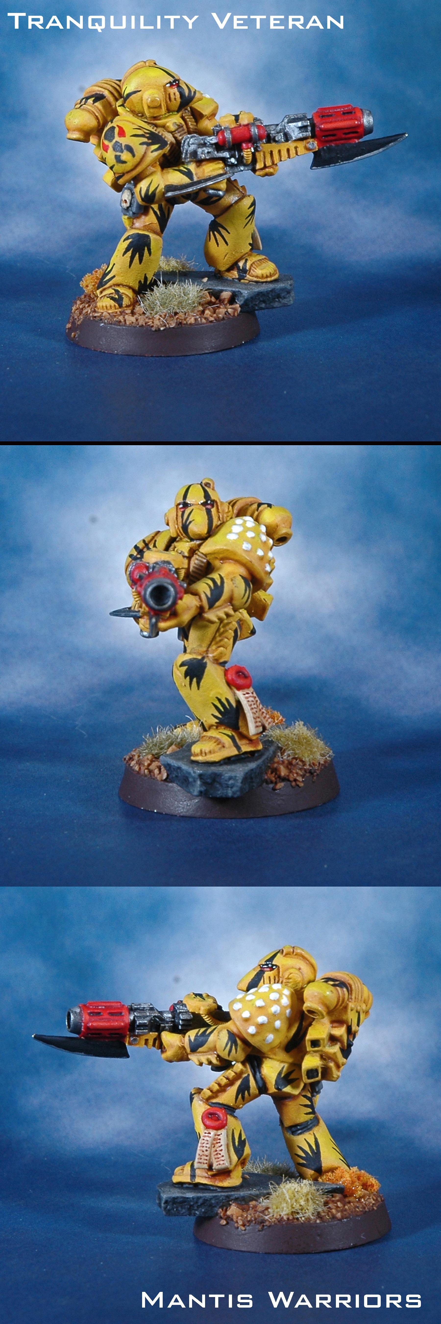 Mantis Warriors, Meltagun, Space Marines, Sternguard, Tranquility Sniper, Warhammer 40,000