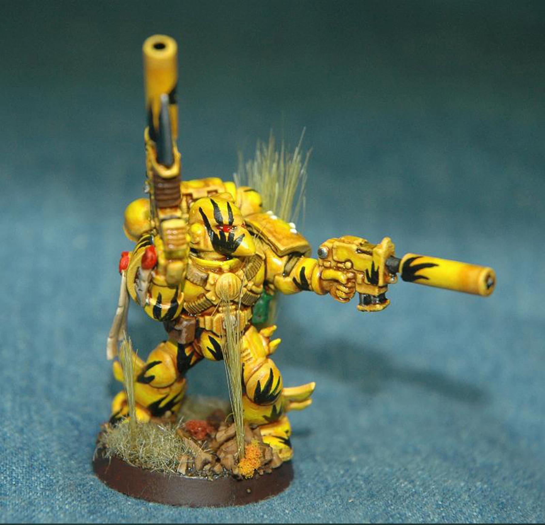 Gms, Mantis Warrior, Snipers, Space Marines, Tranquility, Warhammer 40,000